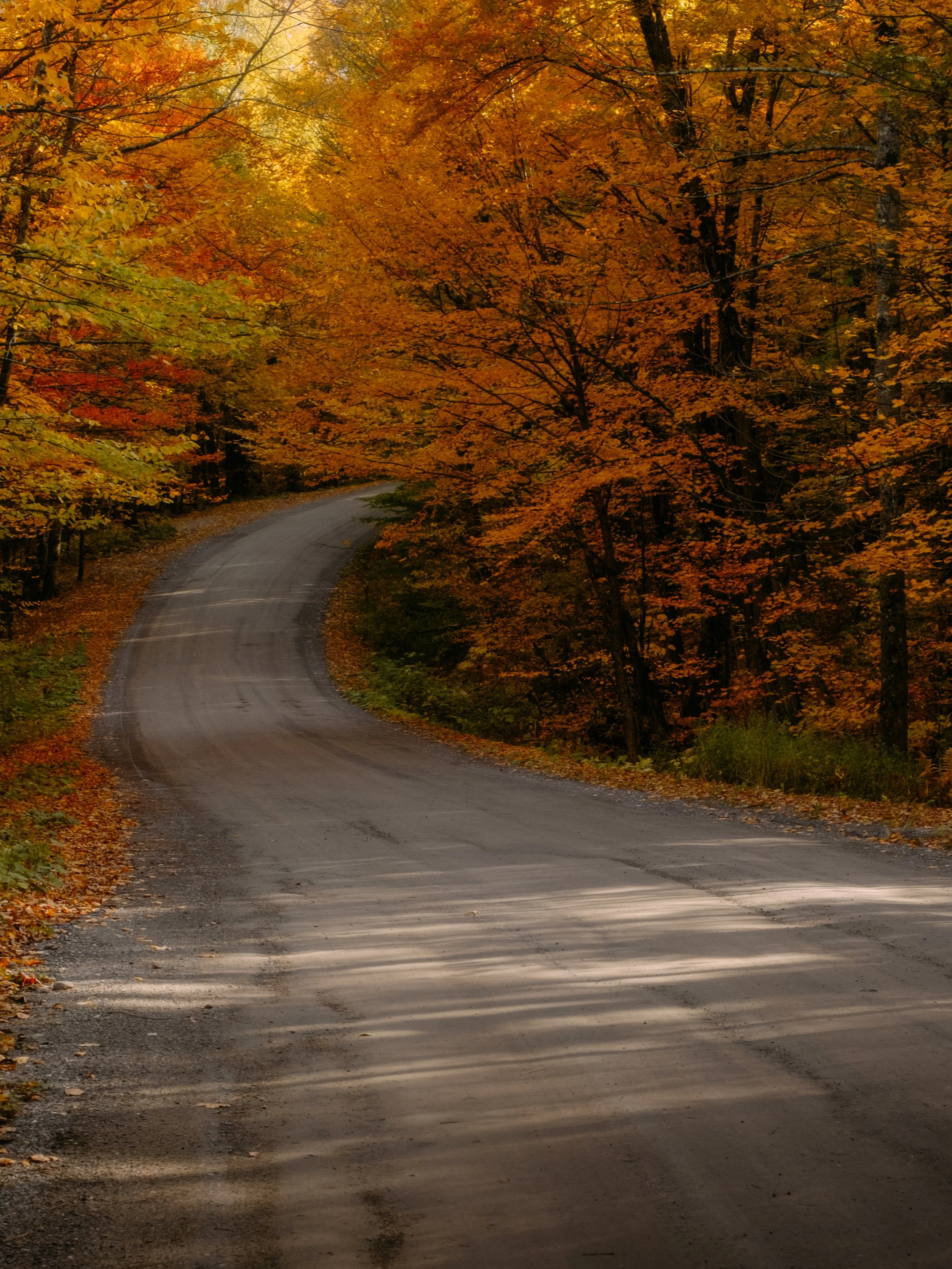 GravelRide_CambridgeVT_PeteCurialle_3306-2.jpg