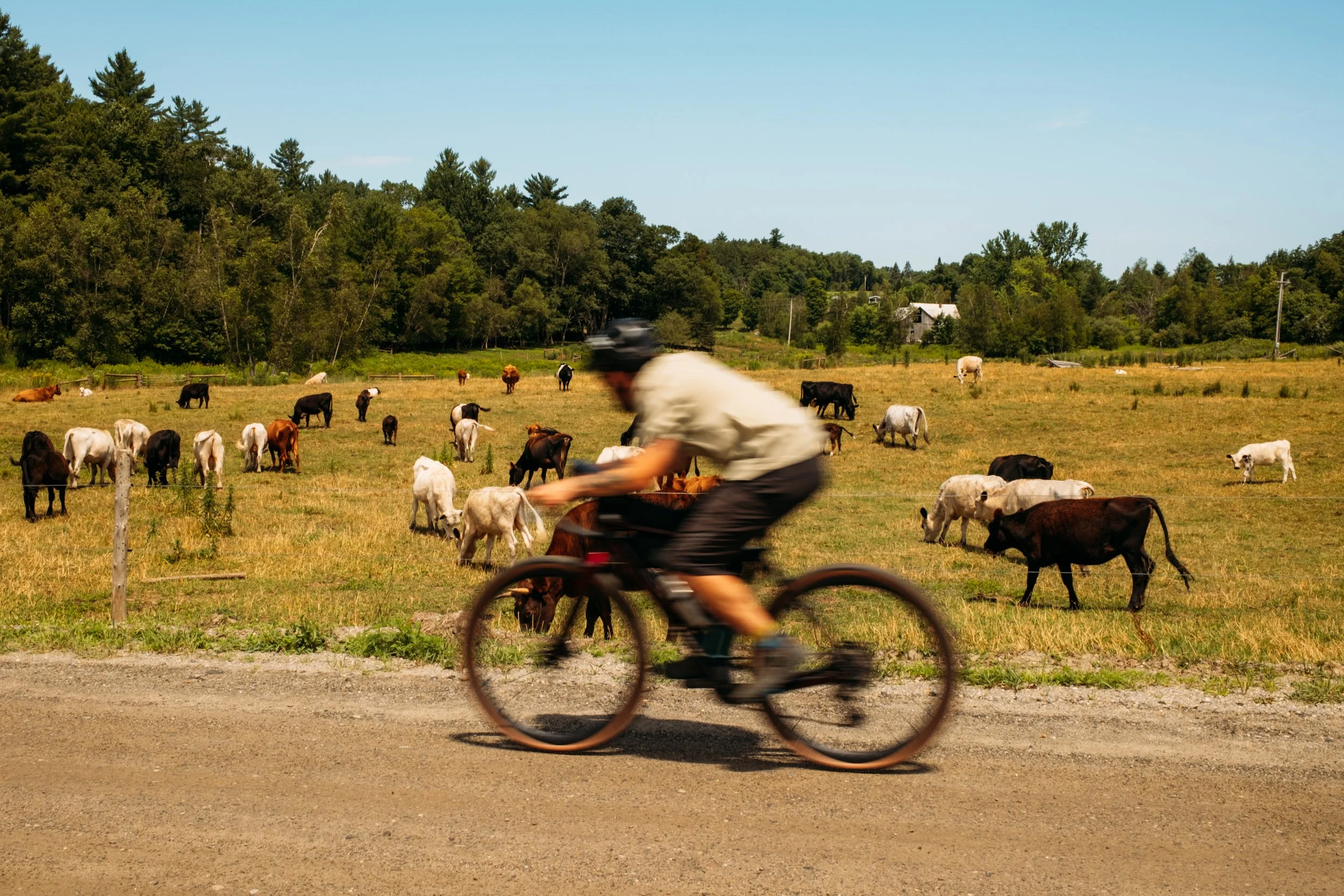 GravelRide_JeffersonvilleVT_PeteCurialle_0403.jpg