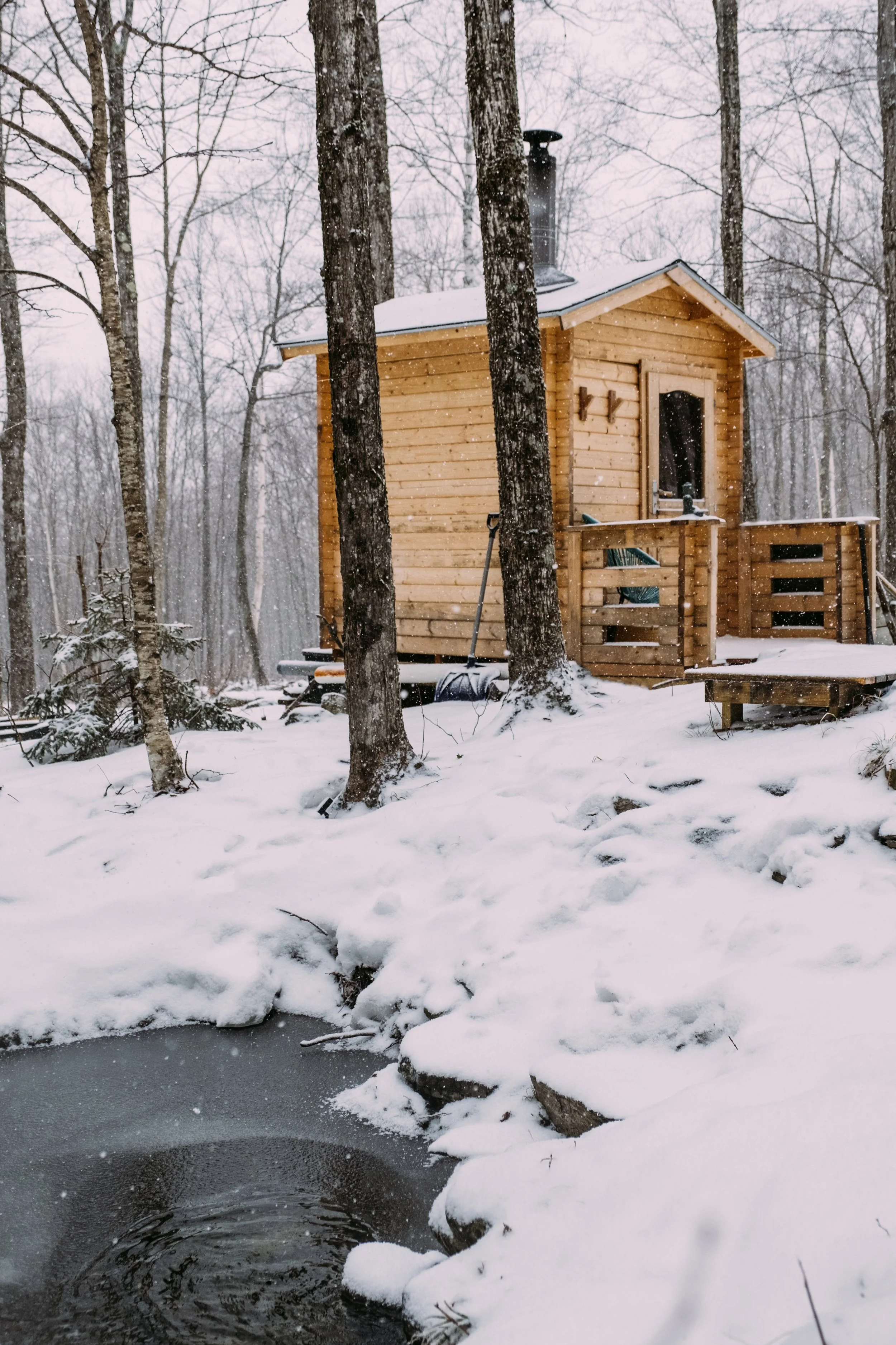 DarkstarCabin_HuntingtonVT_PeteCurialle_6598.jpg
