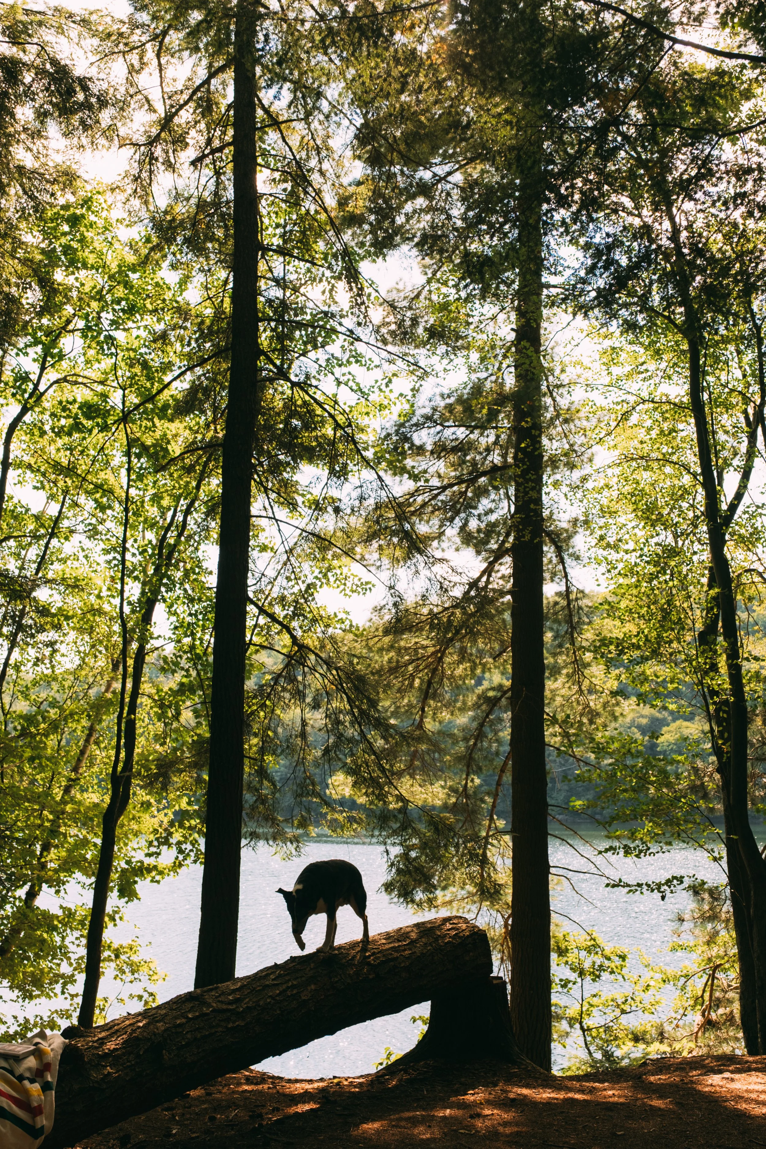 SilverLakeCampground_BarnardVT_PeteCurialle_5008.jpg