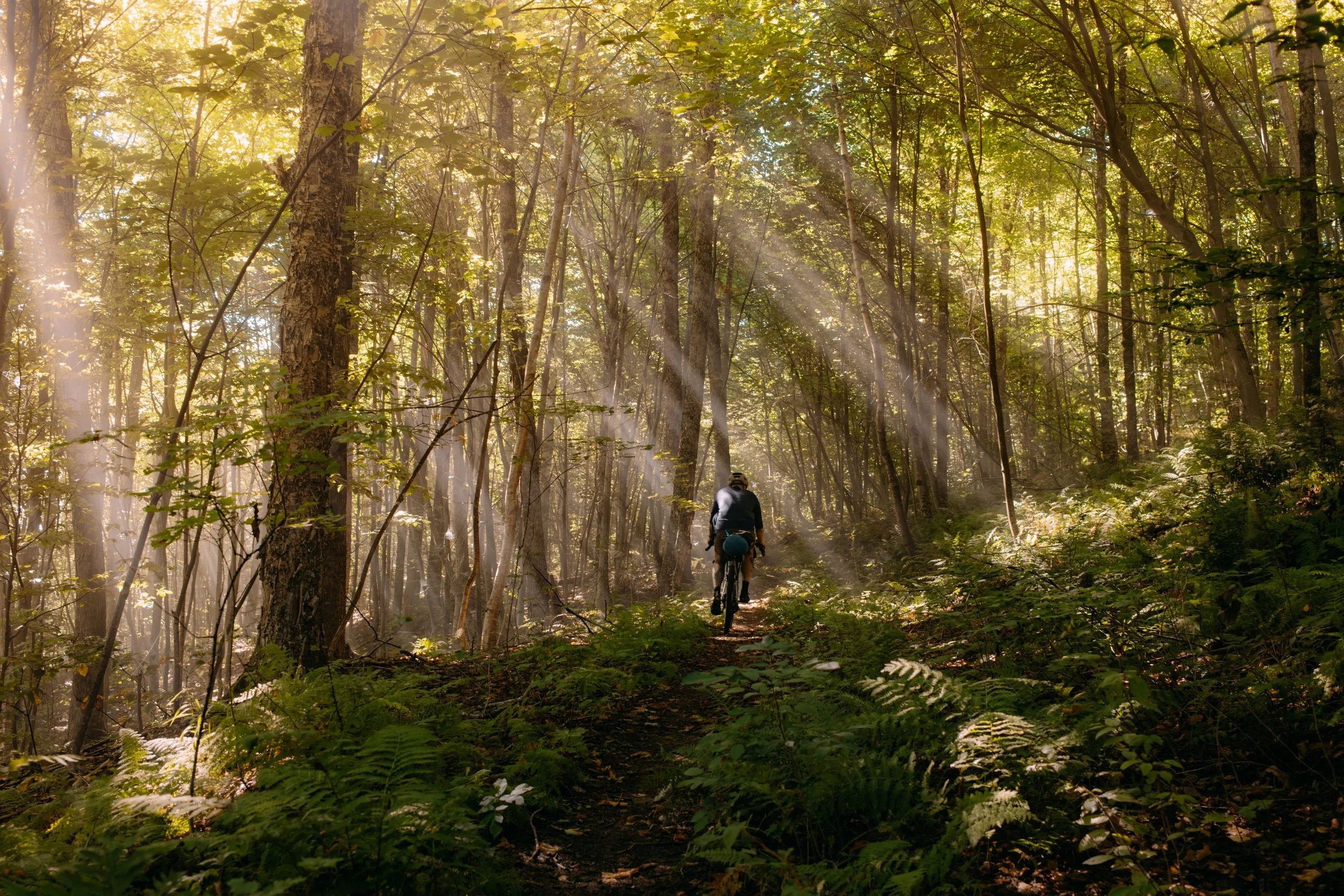 Bikepacking_MtMansfieldLoop_Day3_PeteCurialle_3359.jpg
