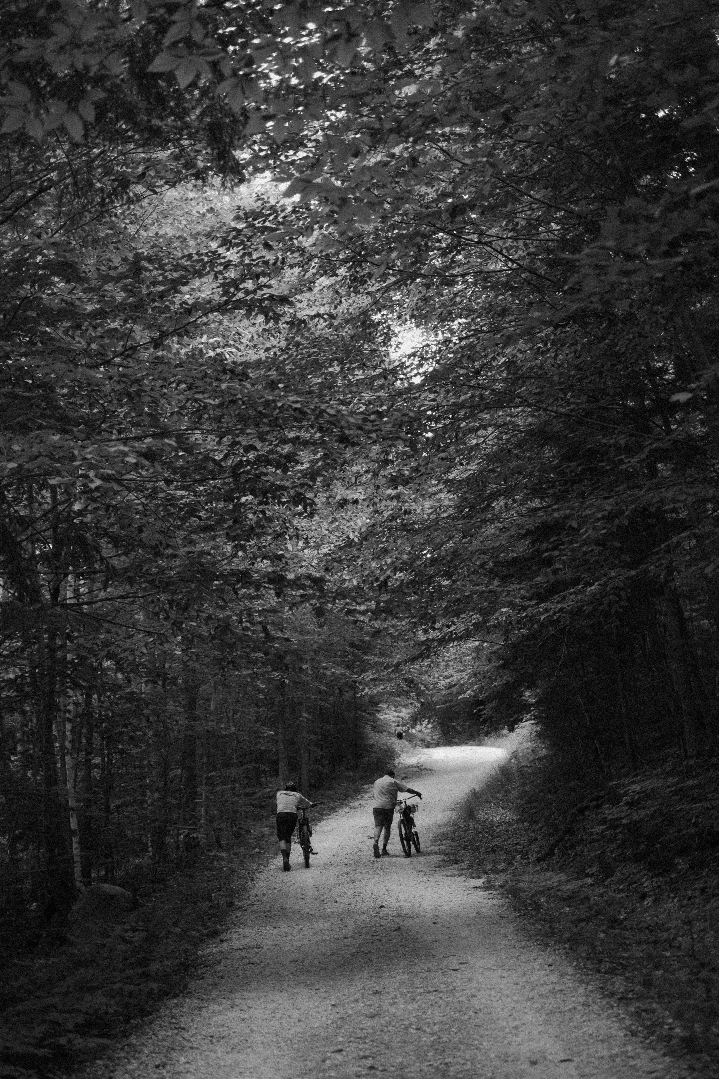 GravelRide_MiddleburyVT_PeteCurialle_8426-2.jpg