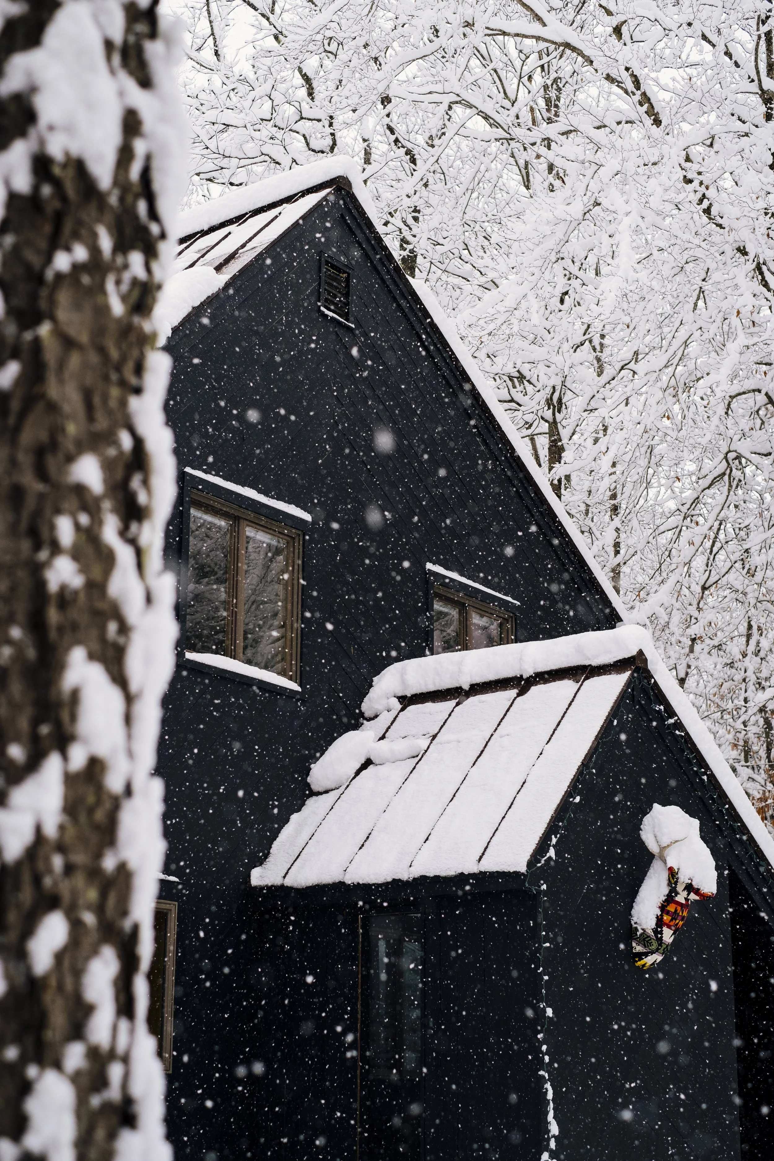 Exterior_GreenTreeCabin_WinhallVT_PeteCurialle_3751.jpg