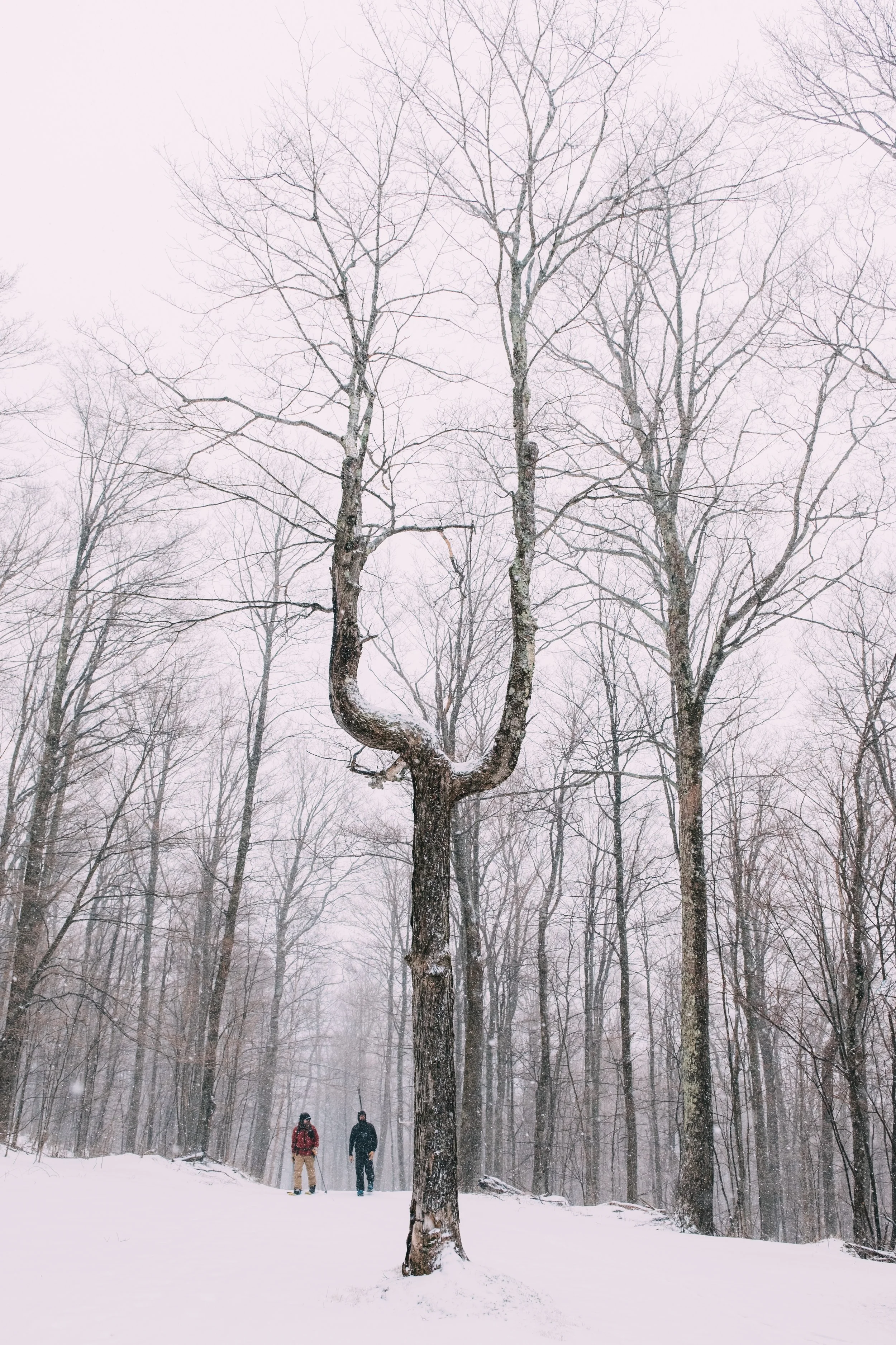DarkstarCabin_HuntingtonVT_PeteCurialle_6469.jpg
