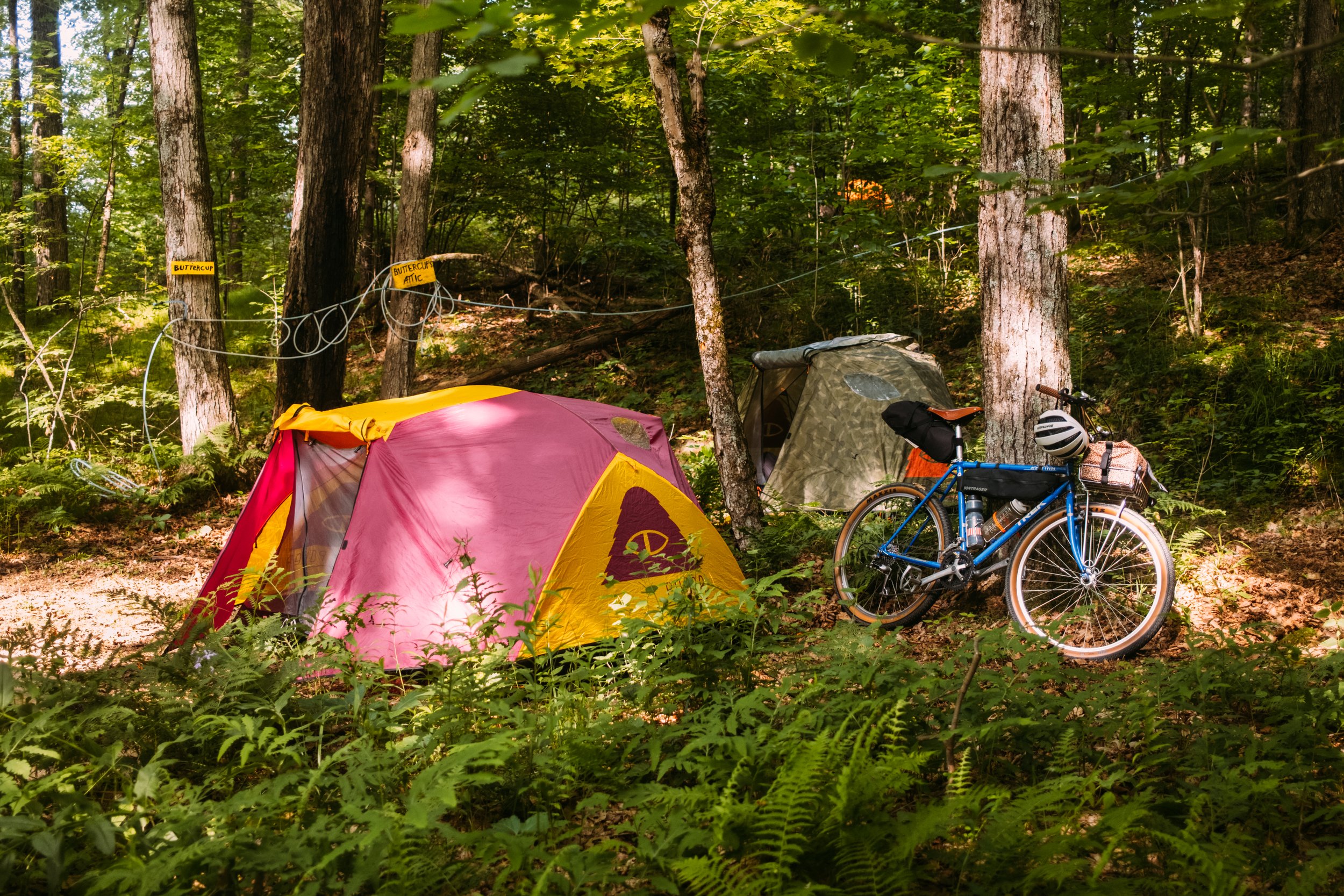 Analog4x4_PoultneyVT_PeteCurialle_2950.jpg