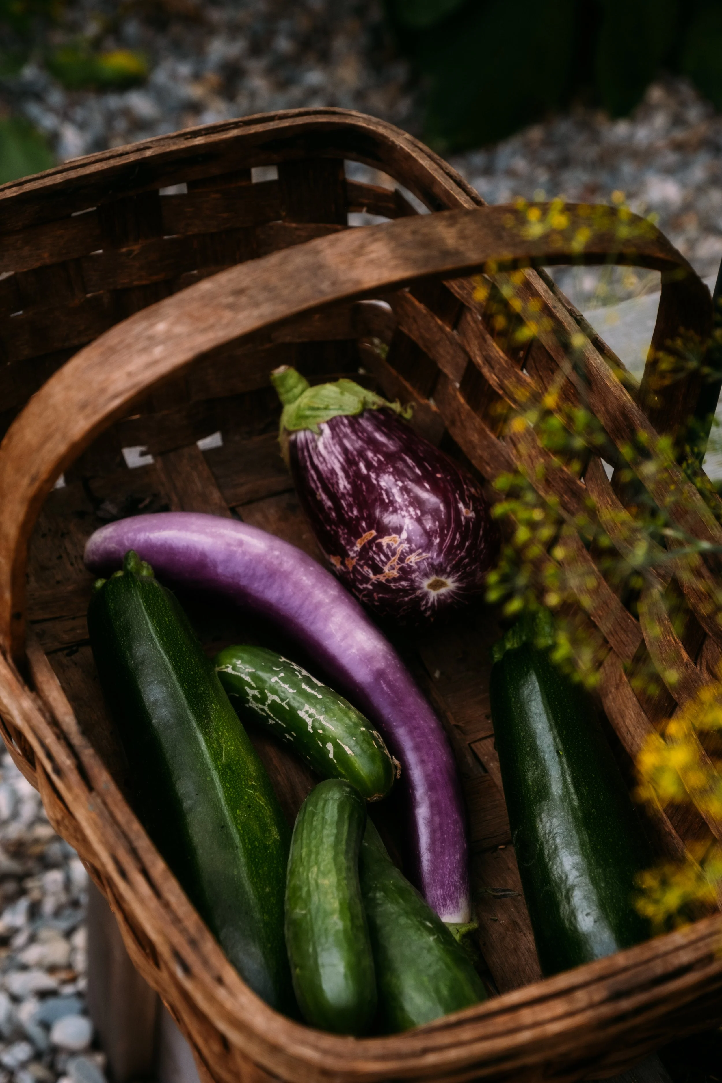 WildBirchDesign_BurlingtonVT_PeteCurialle_2640.jpg