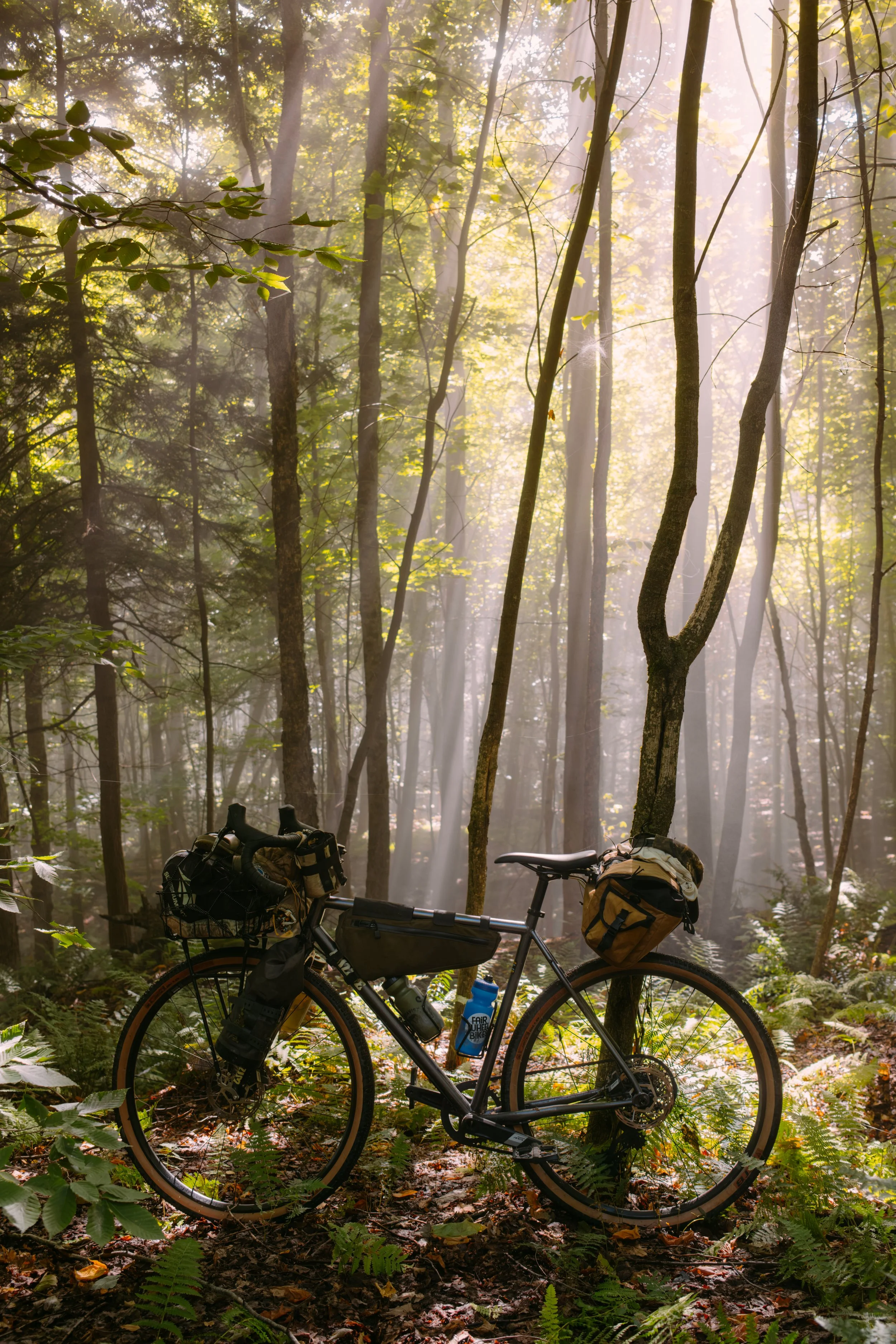 Bikepacking_MtMansfieldLoop_Day3_PeteCurialle_3329.jpg