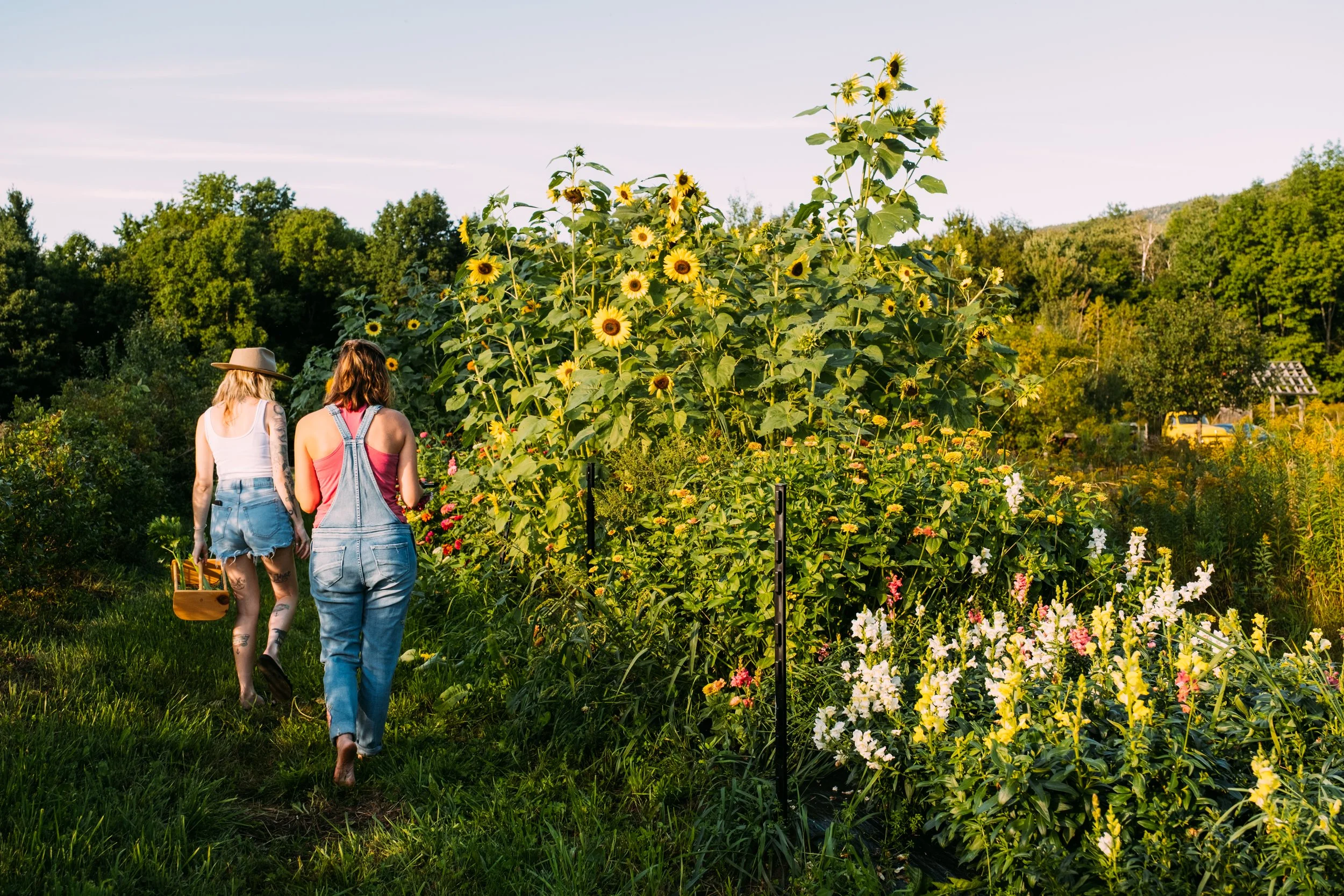 WildBirchWellness_JeffersonvilleVT_PeteCurialle_6896.jpg