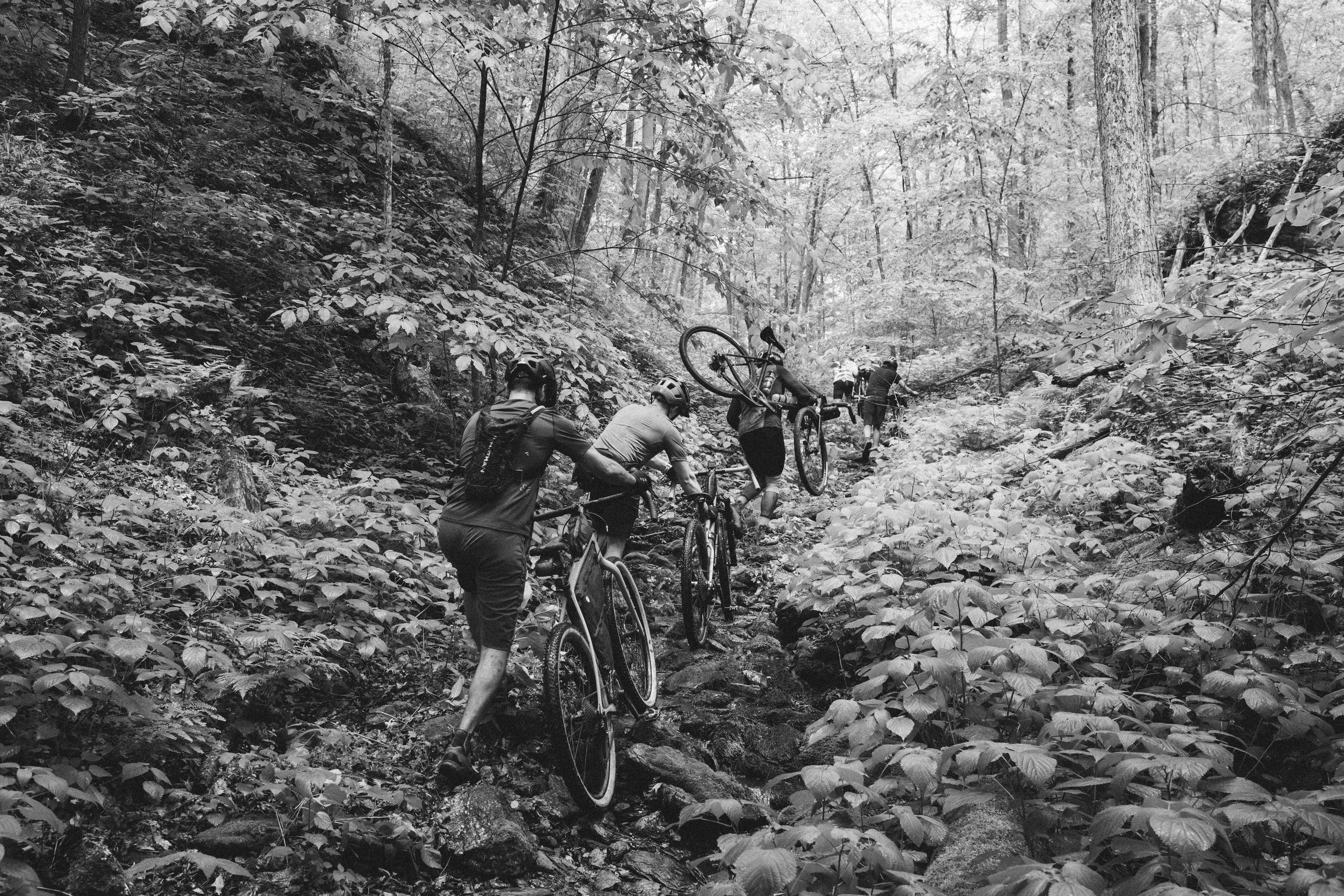 Analog4x4_PoultneyVT_PeteCurialle_7887-2.jpg
