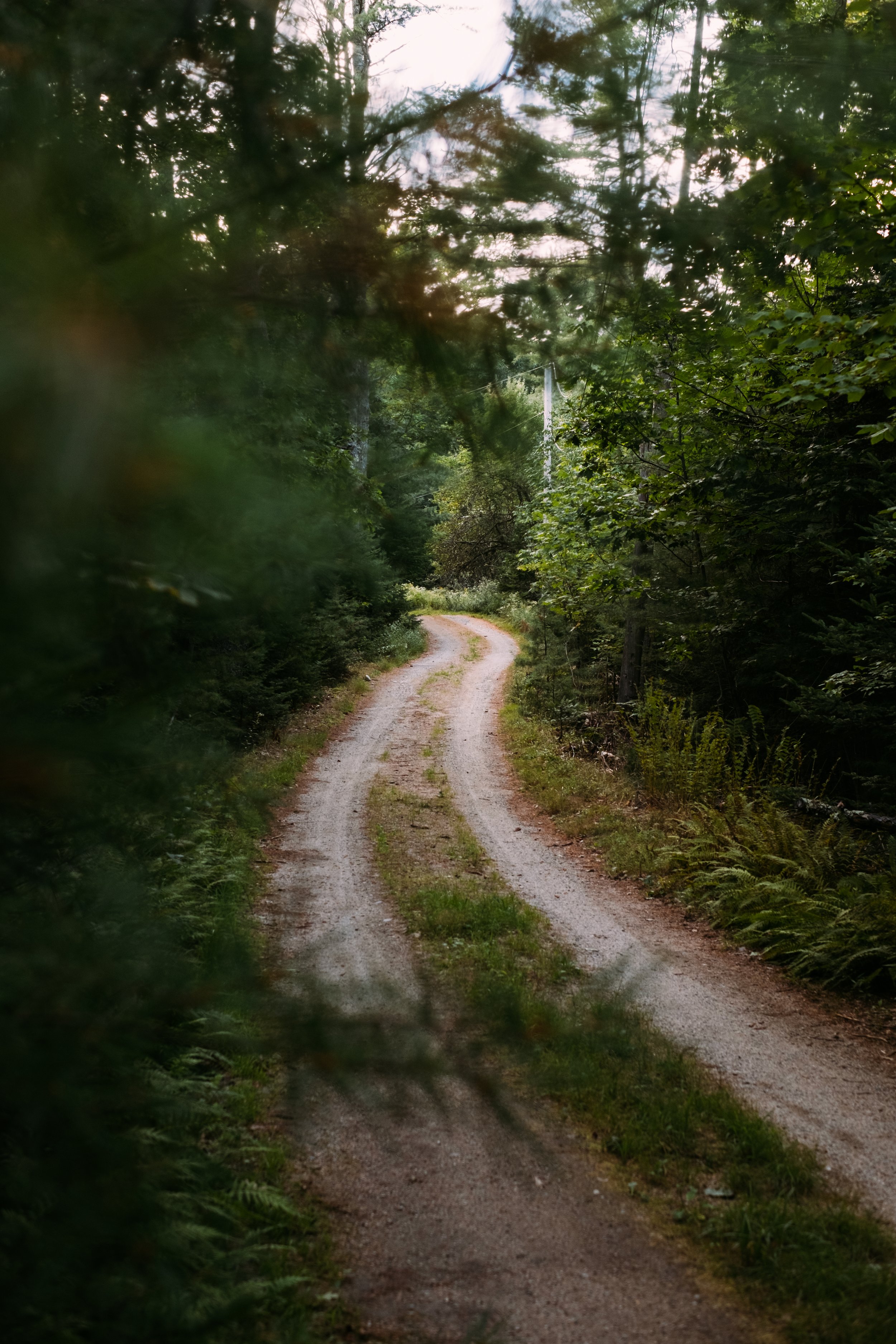 MaineTrip_BrooksvilleME_PeteCurialle_3589.jpg