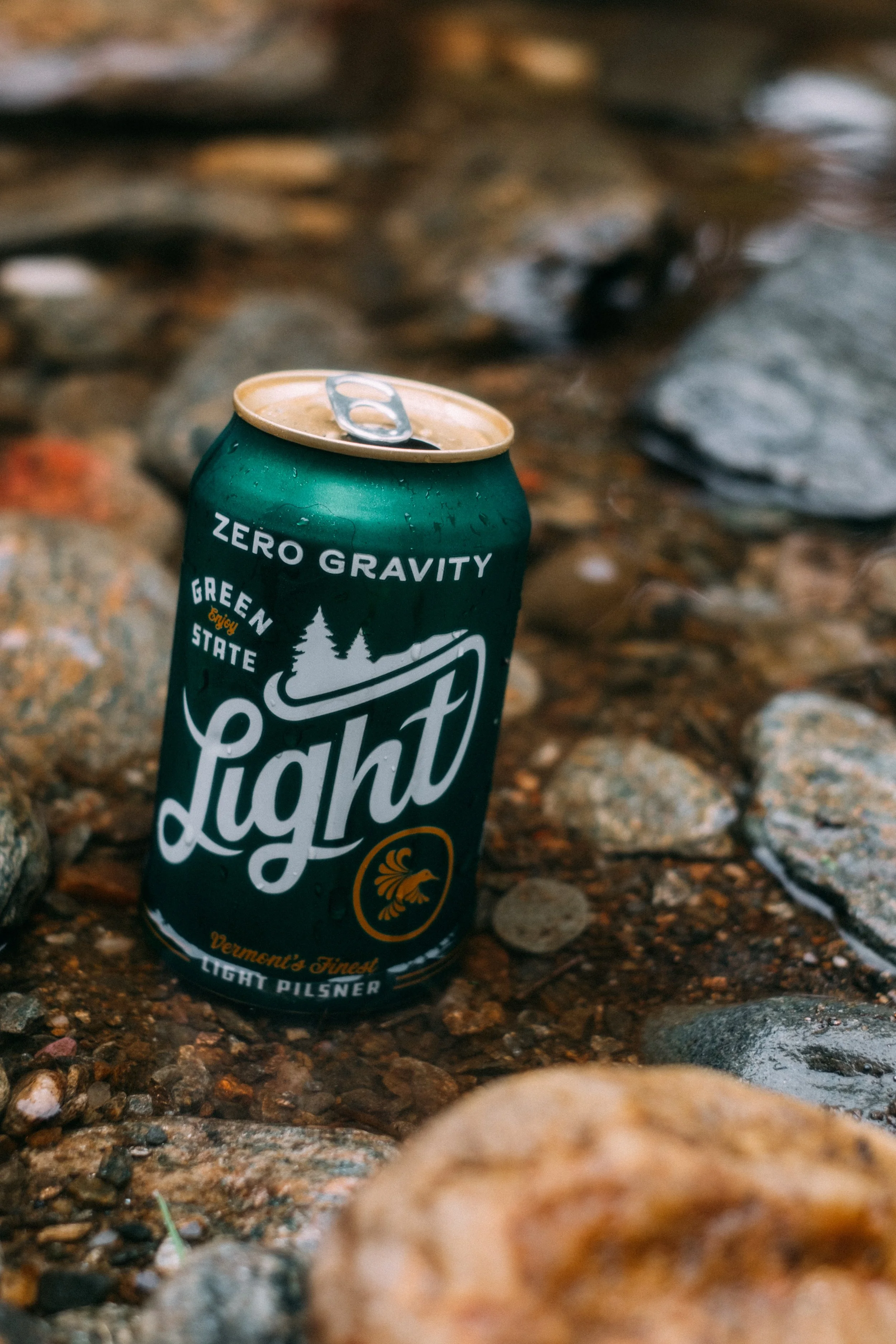 SwimmingHole_JeffersonvilleVT_PeteCurialle_8610.jpg