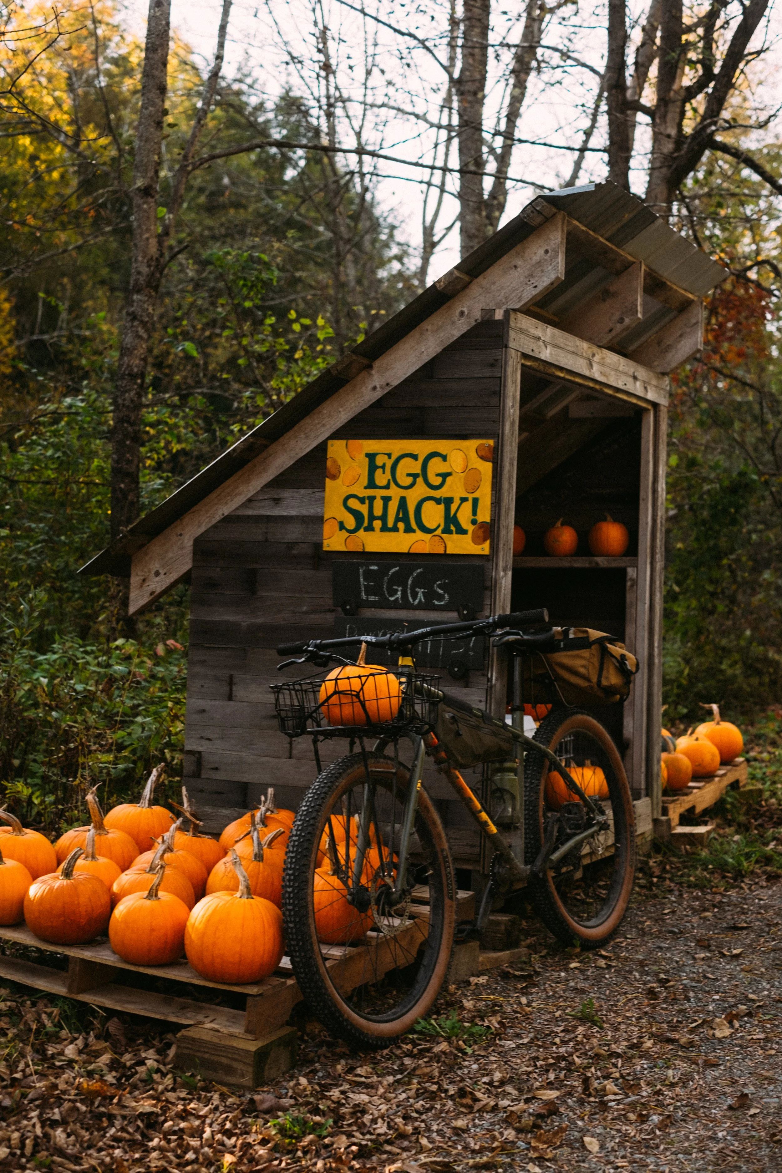GravelRide_CambridgeVT_PeteCurialle_5428.jpg