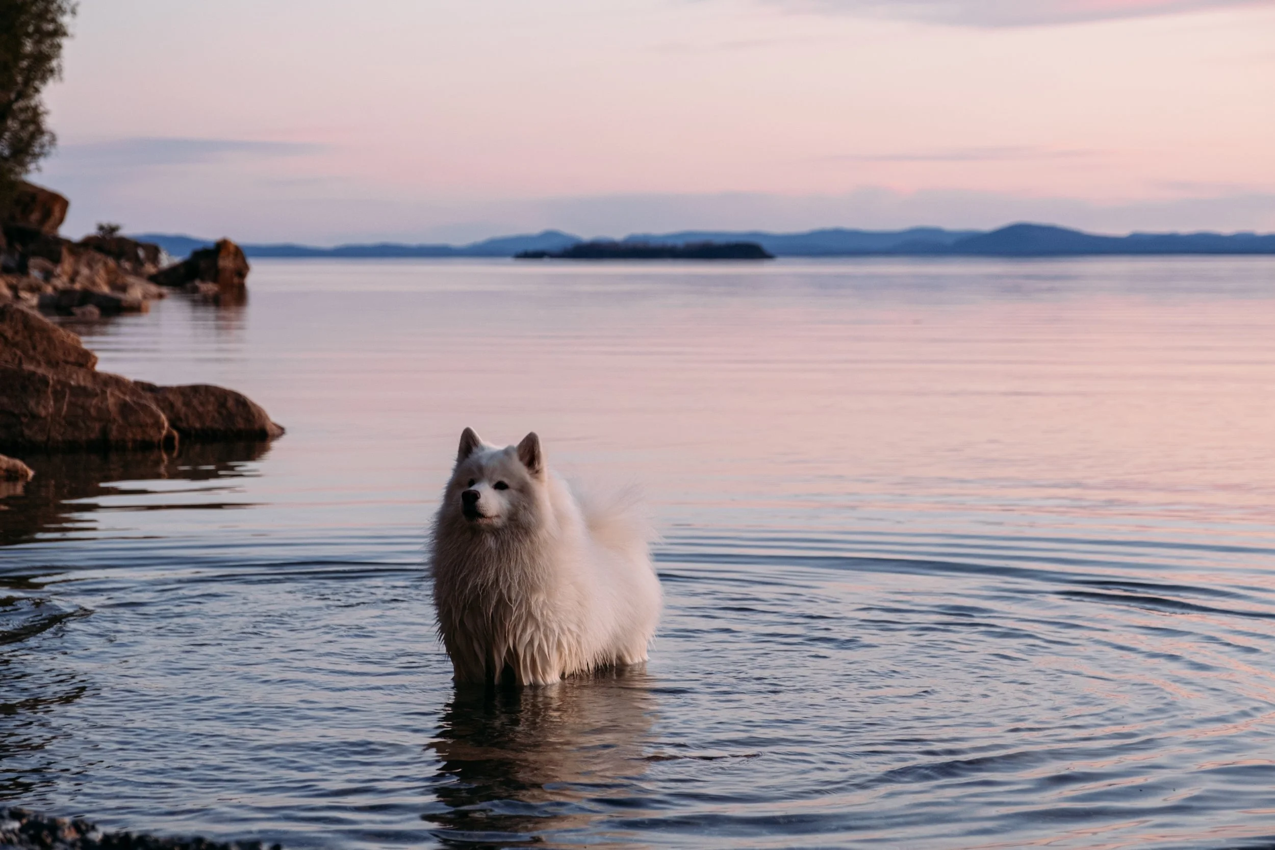 Bo_RockPointBTV_PeteCurialle_7950.jpg