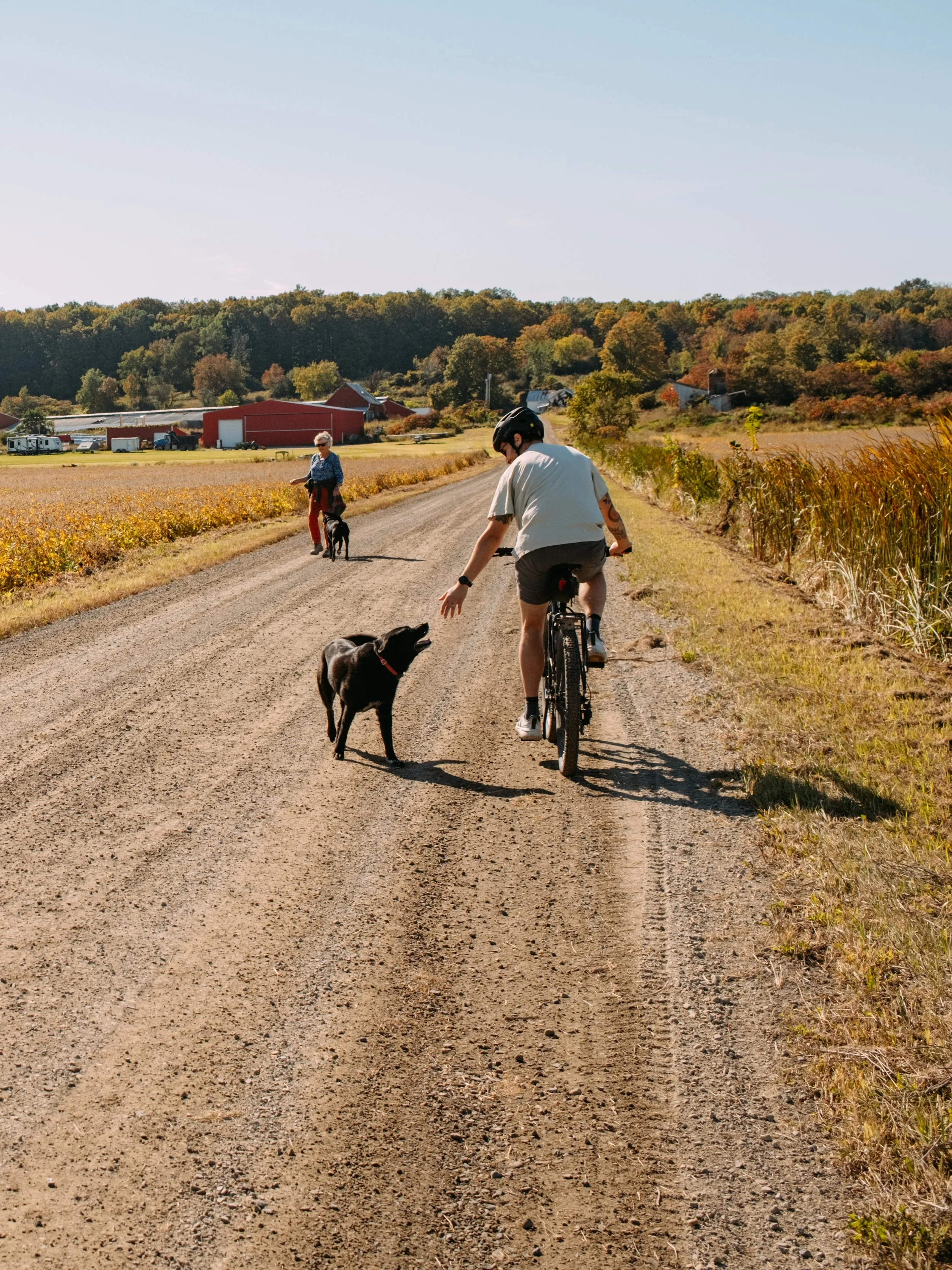 GravelRide_MiddleburyVT_PeteCurialle_4306-2.jpg