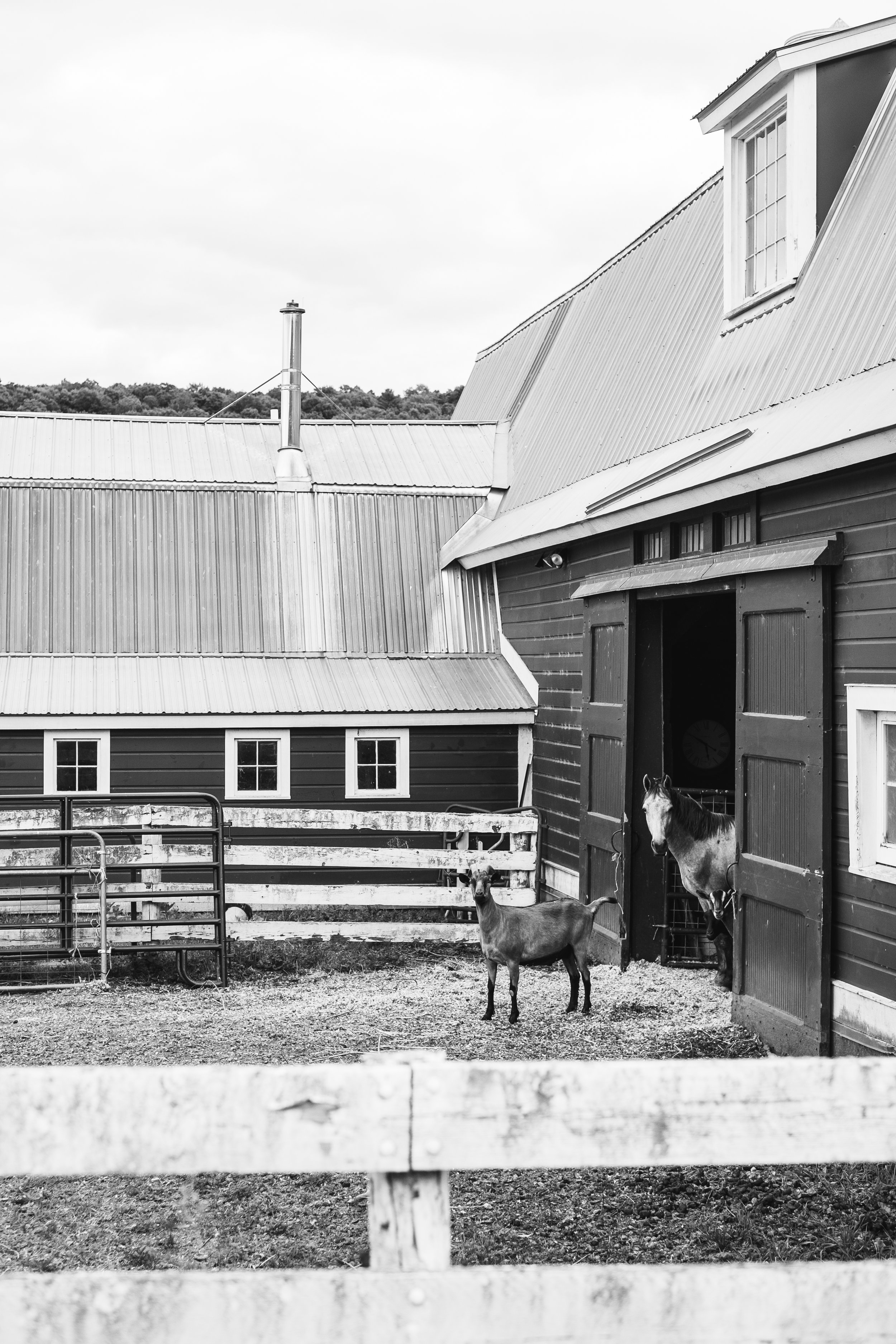 GravelRide_MiddleburyVT_PeteCurialle_8146-2.jpg