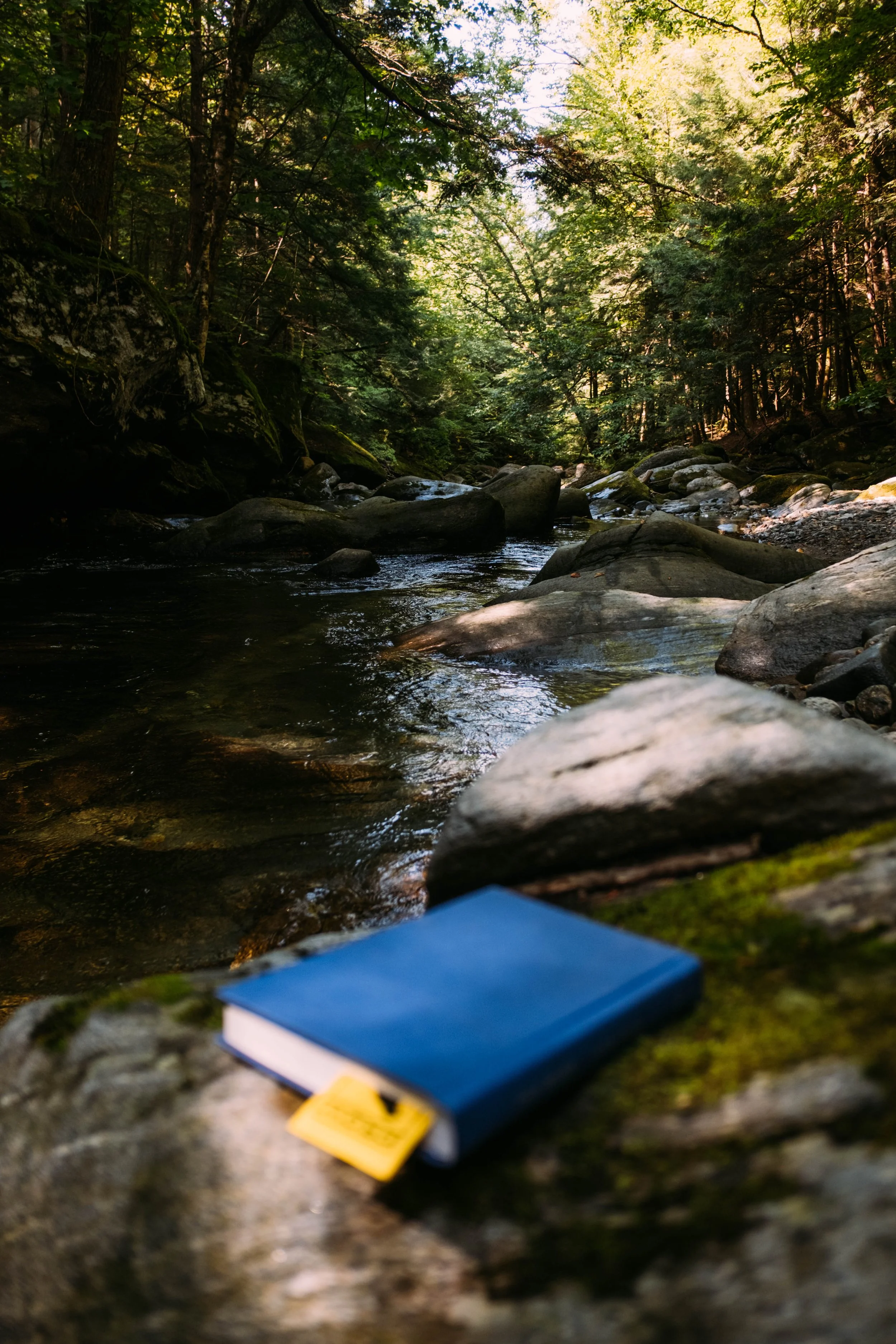 BrewsterRiver_JeffersonvilleVT_PeteCurialle_4918.jpg