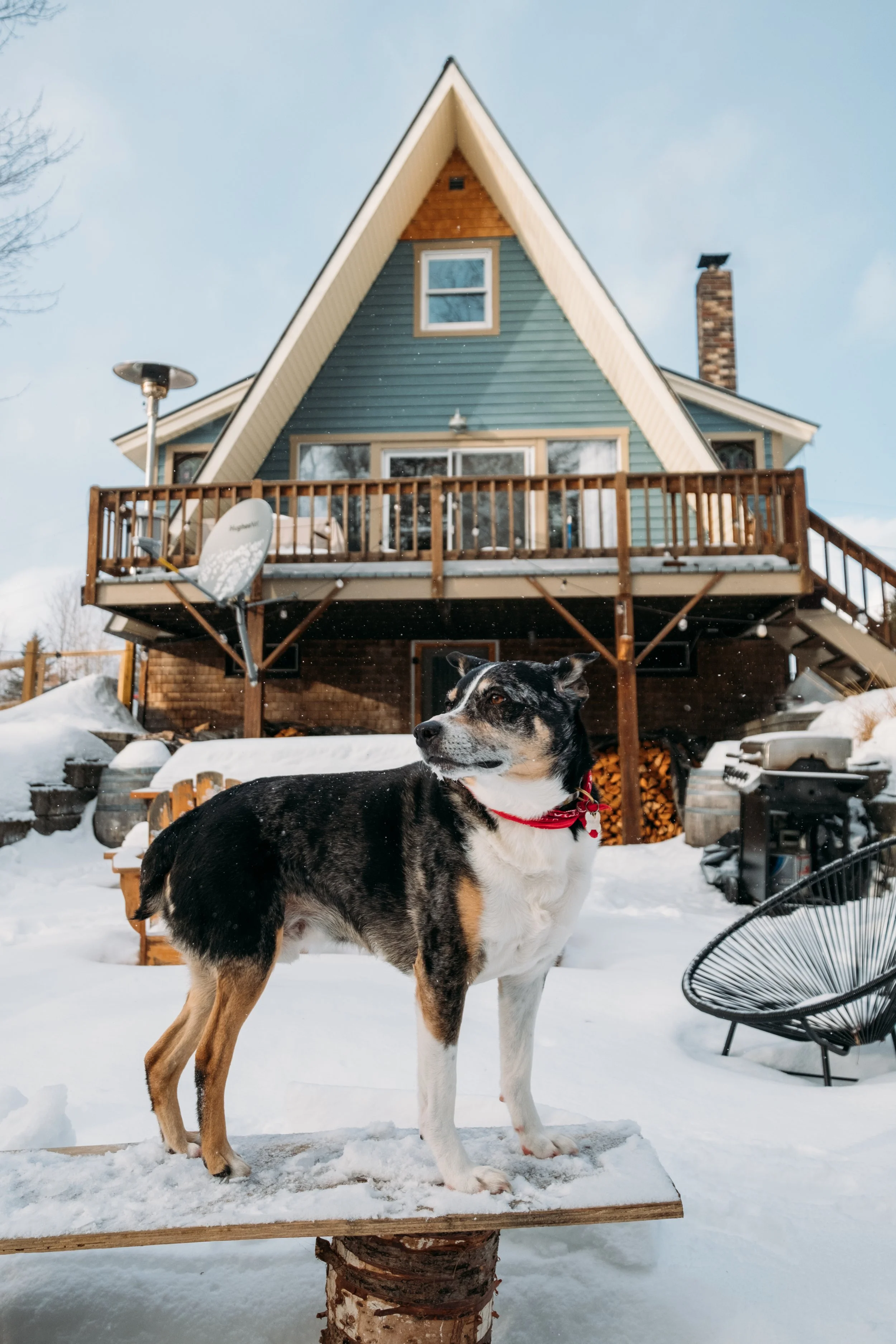 Exterior_KingdomAFrame_BurkeVT_PeteCurialle_0845.jpg