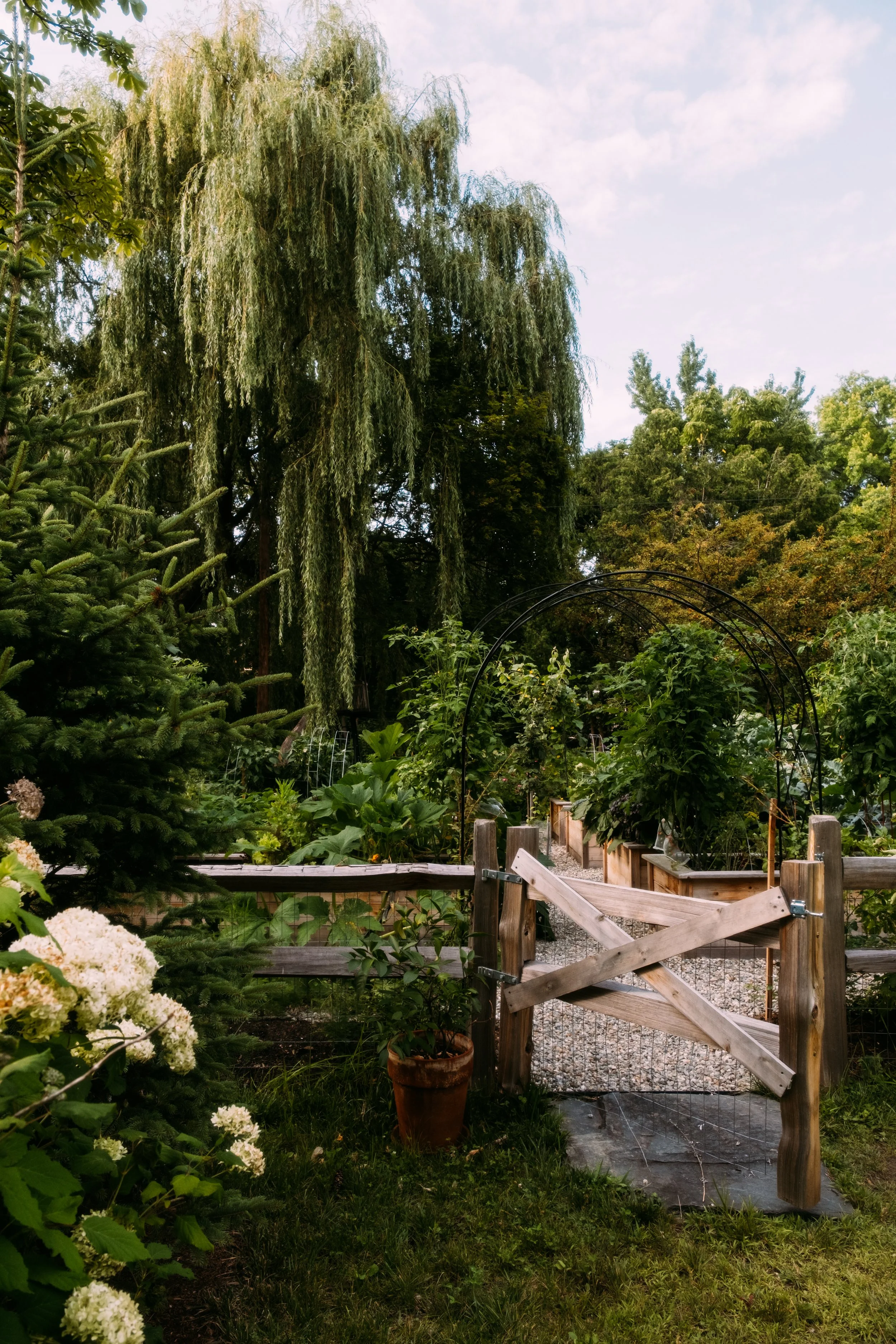 WildBirchDesign_BurlingtonVT_PeteCurialle_2011.jpg