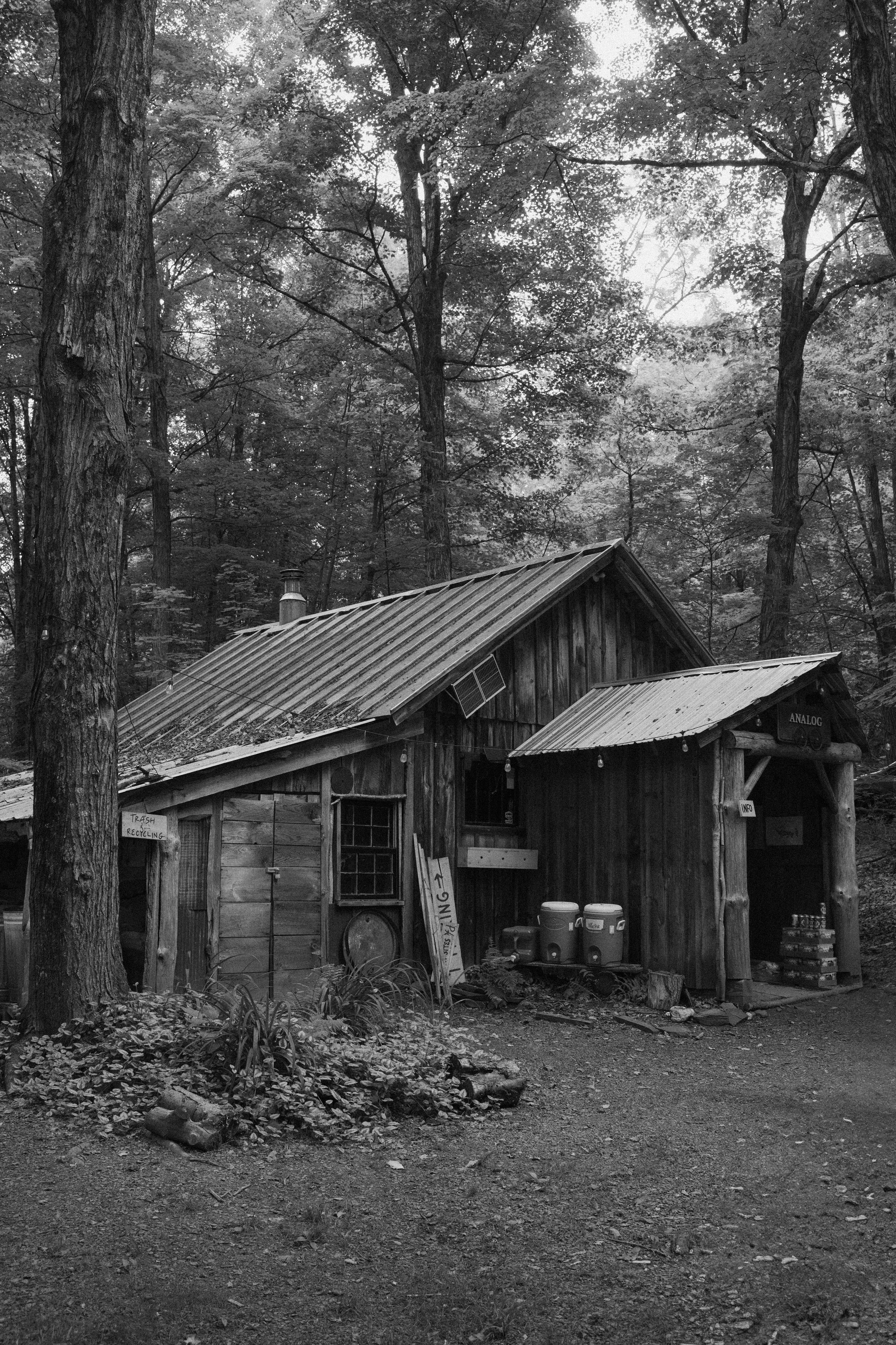 Analog4x4_PoultneyVT_PeteCurialle_2272-2.jpg
