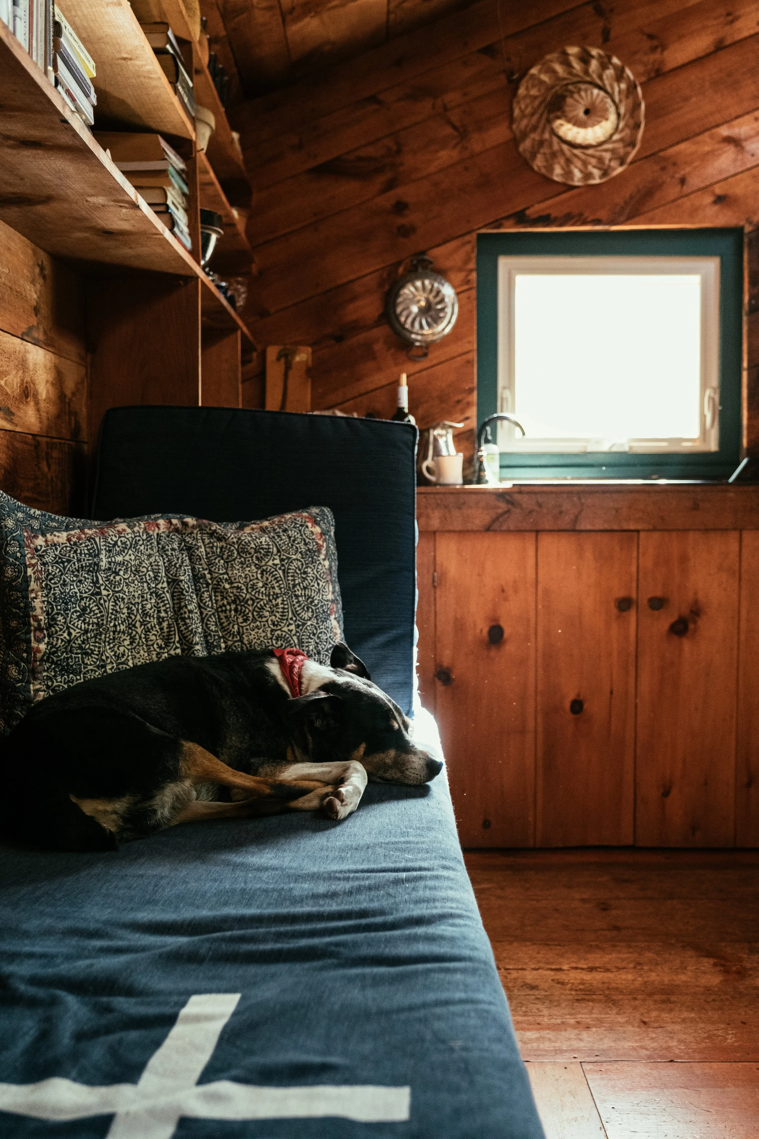 MaineTrip_BrooksvilleME_PeteCurialle_3337.jpg