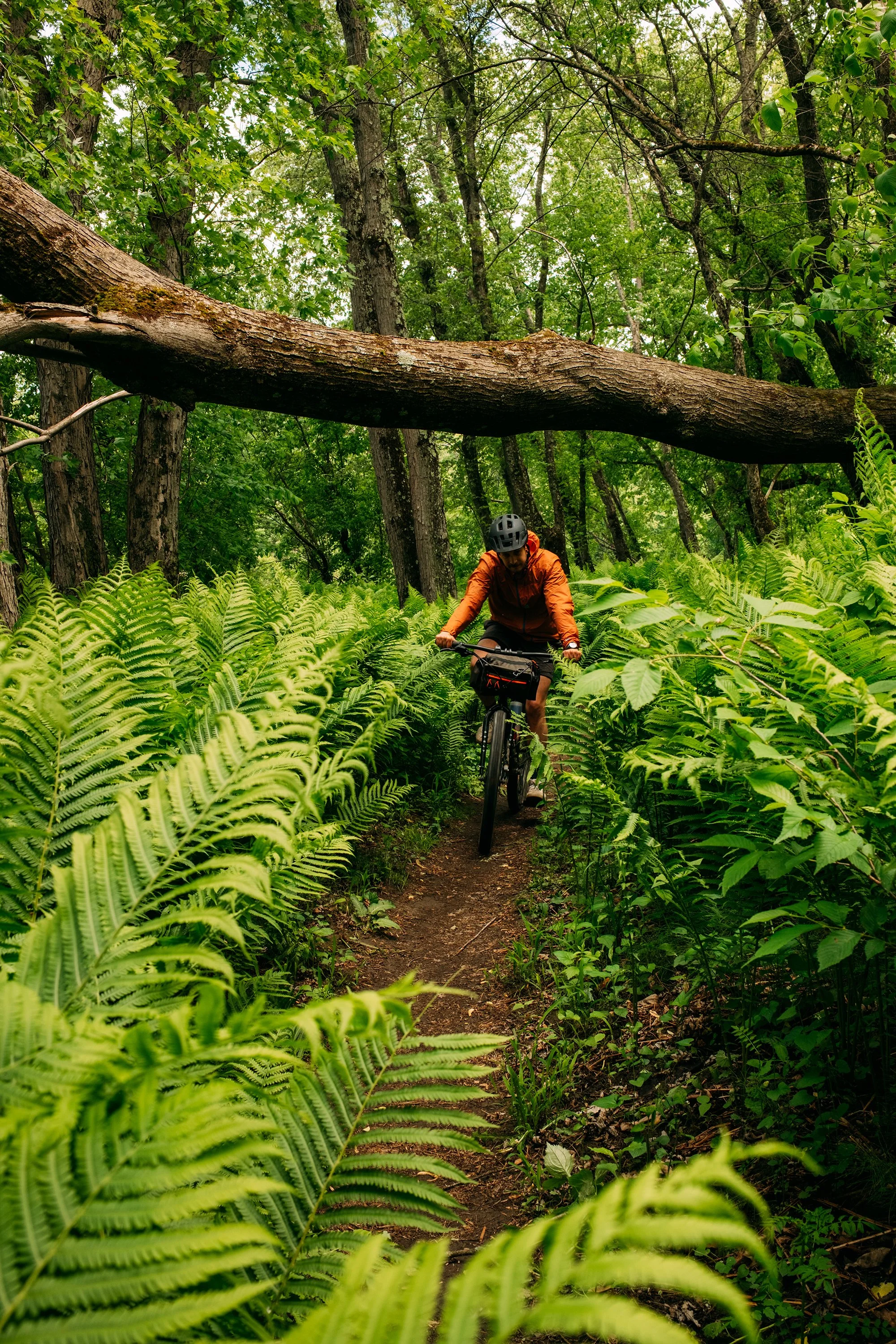 GravelRide_RichmondVT_PeteCurialle_7668.jpg