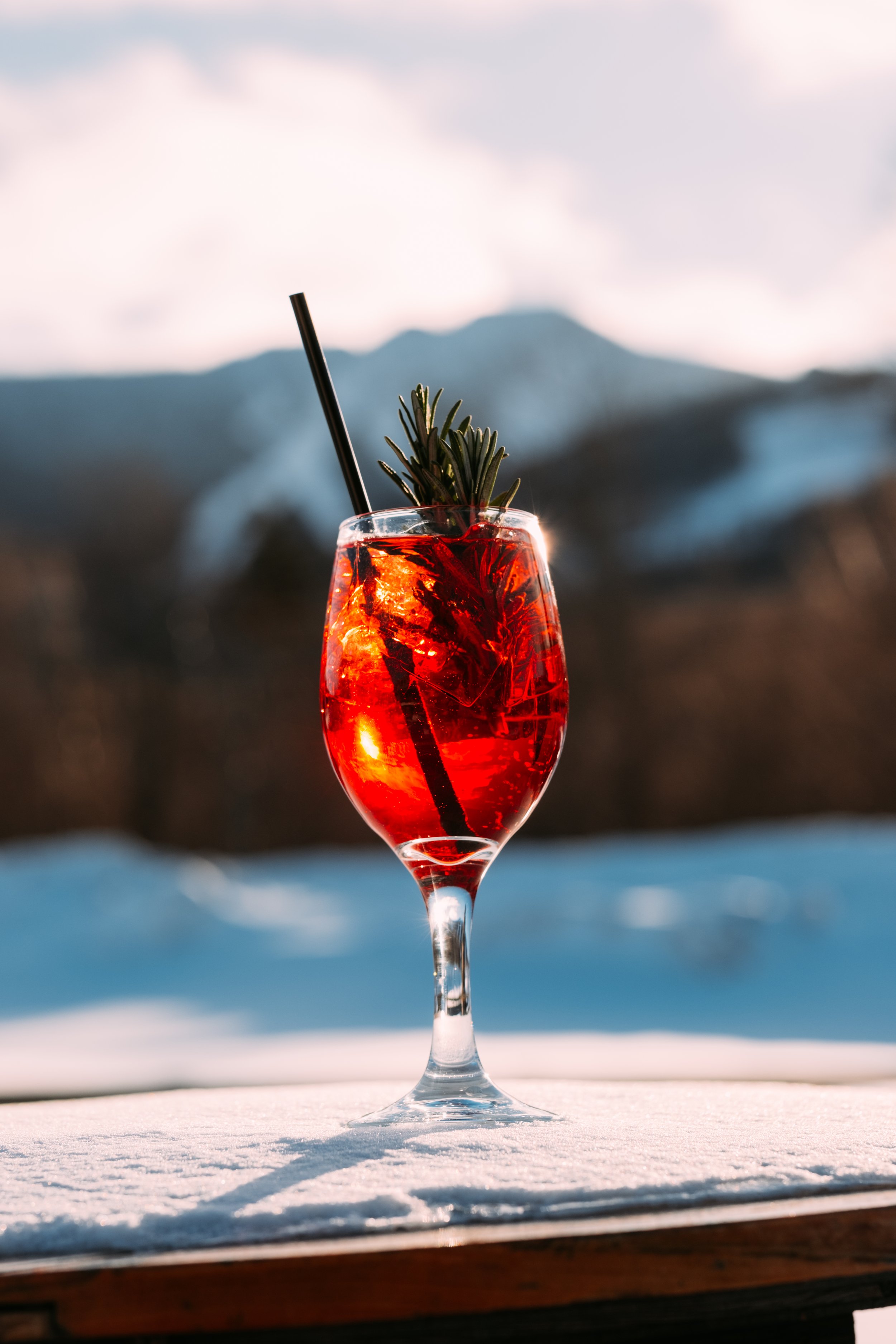 FoodAndDrinks_MountainInn_KillingtonVT_PeteCurialle0631.jpg