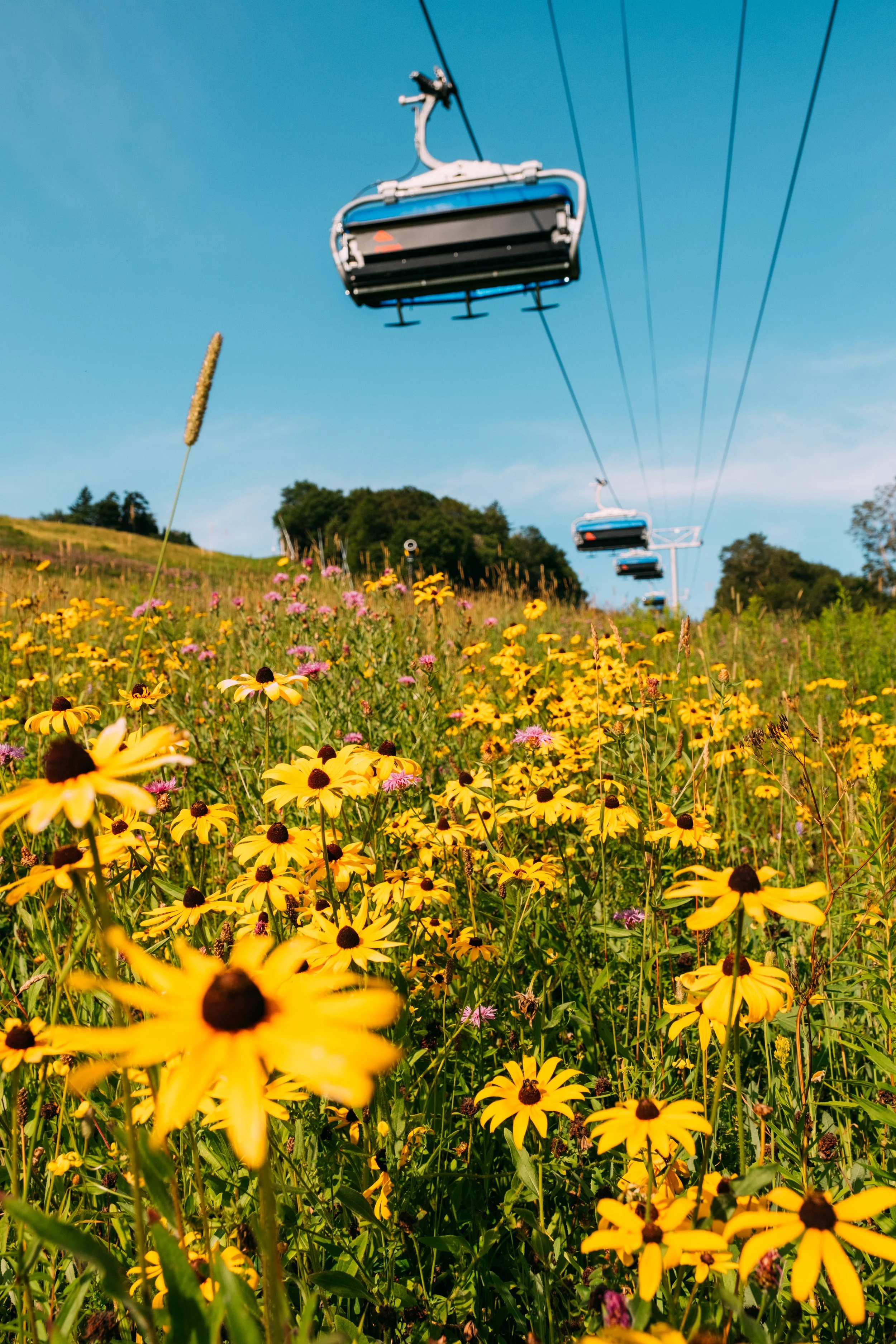 Scenic_MountainInn_KillingtonVT_PeteCurialle_9102.jpg