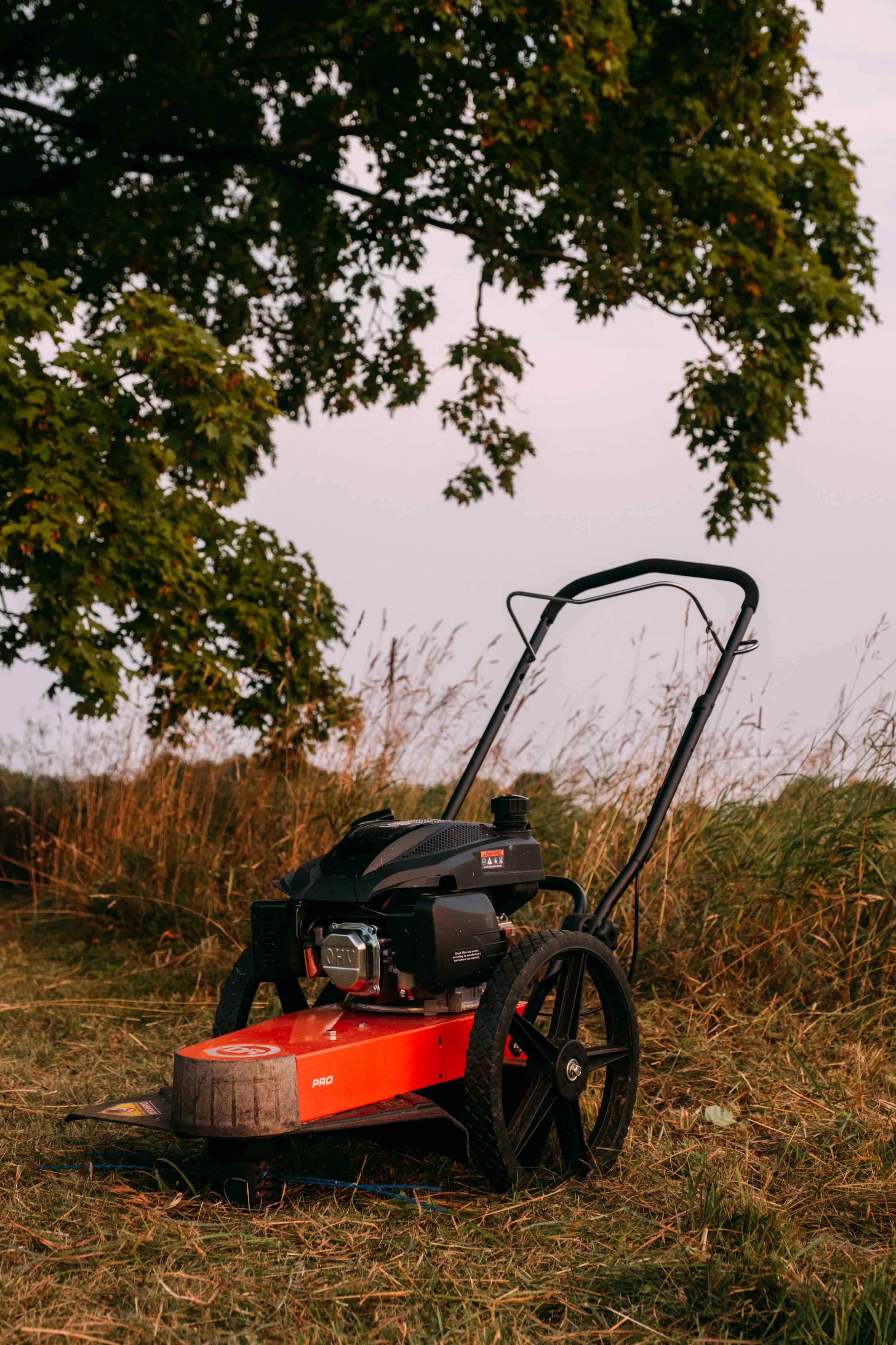 Trimmer_DRPower_ColchesterVT_PeteCurialle_6376.jpg
