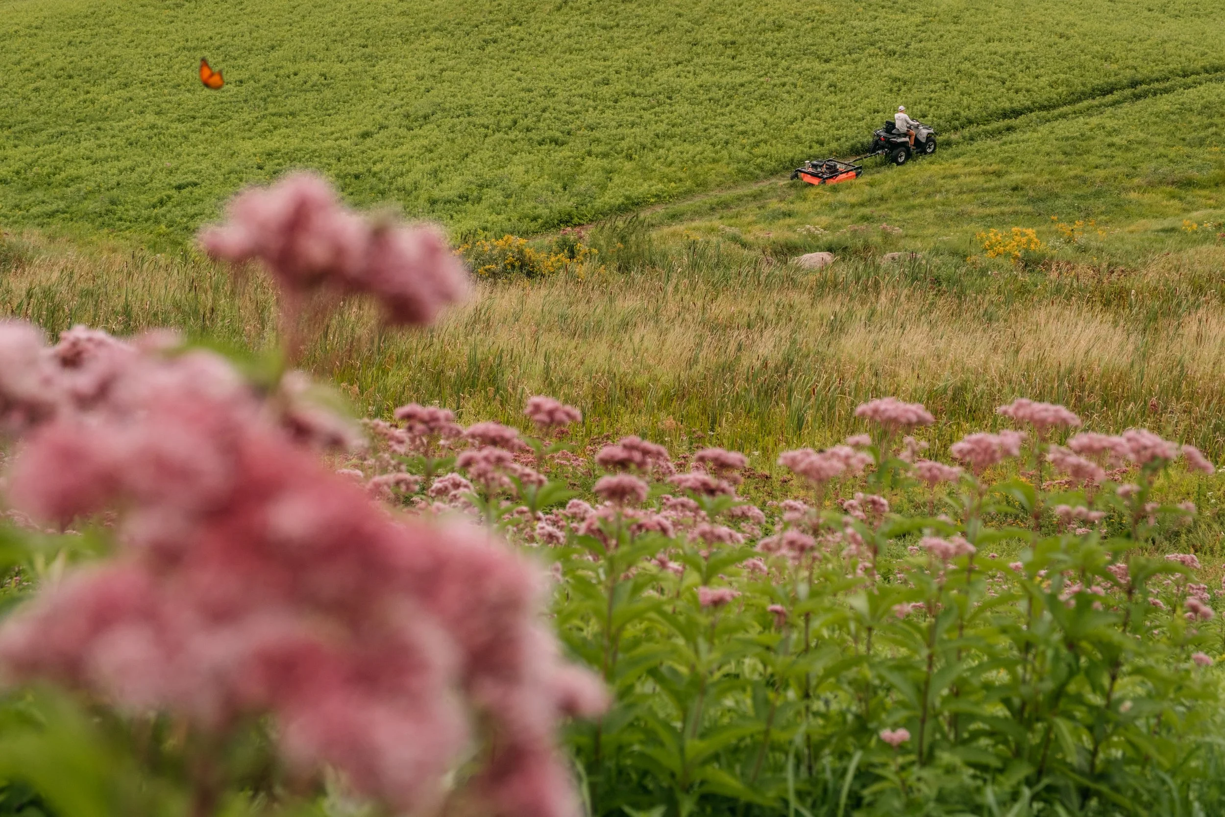 ProMax52T_DRPower_ColchesterVT_PeteCurialle_2927.JPG
