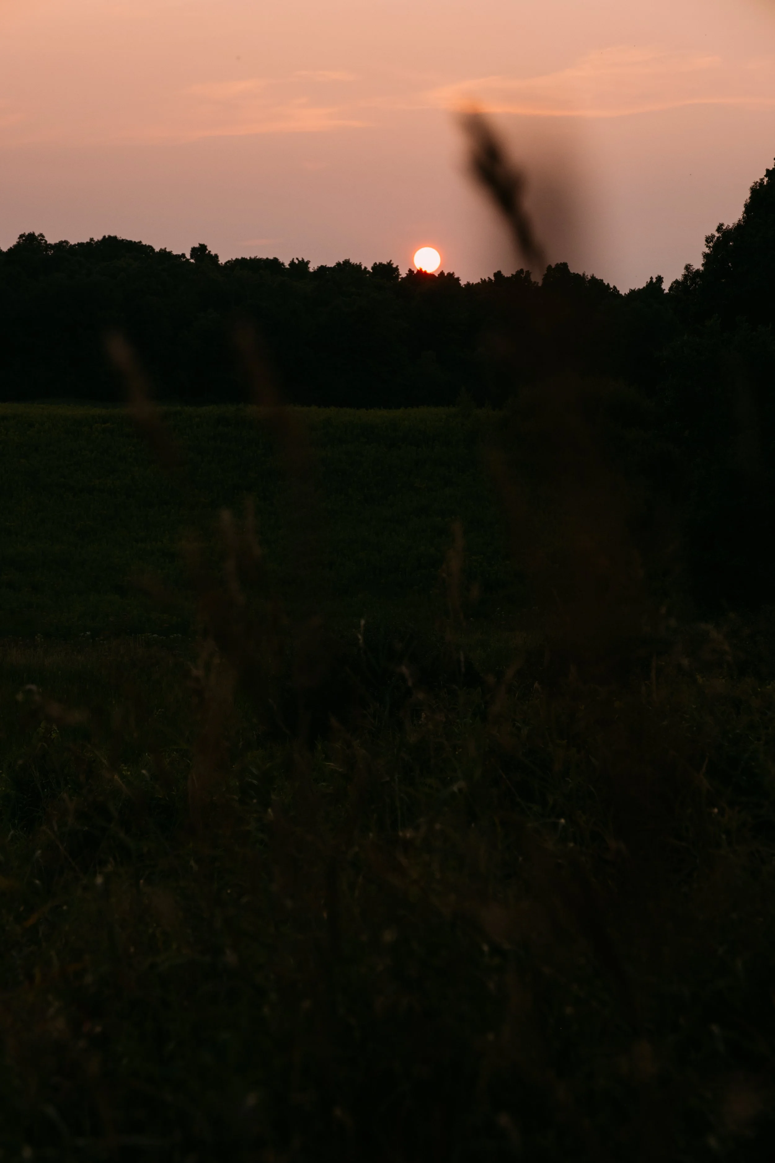 Enviro_DRPower_ColchesterVT_PeteCurialle_6330.jpg