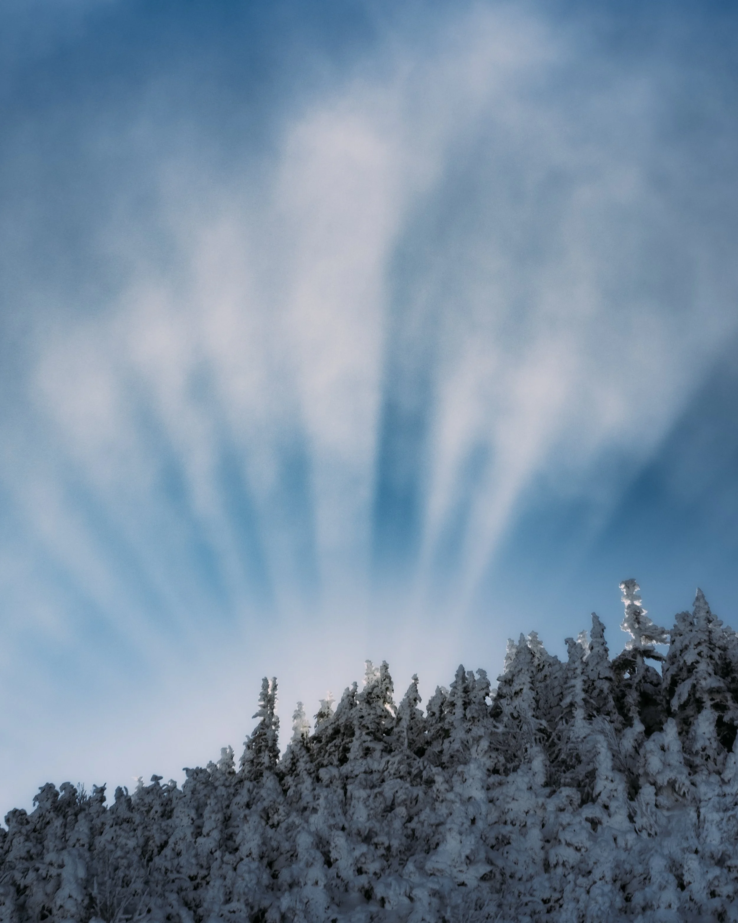 Enviro_KillingtonVT_PeteCurialle_8661.jpg