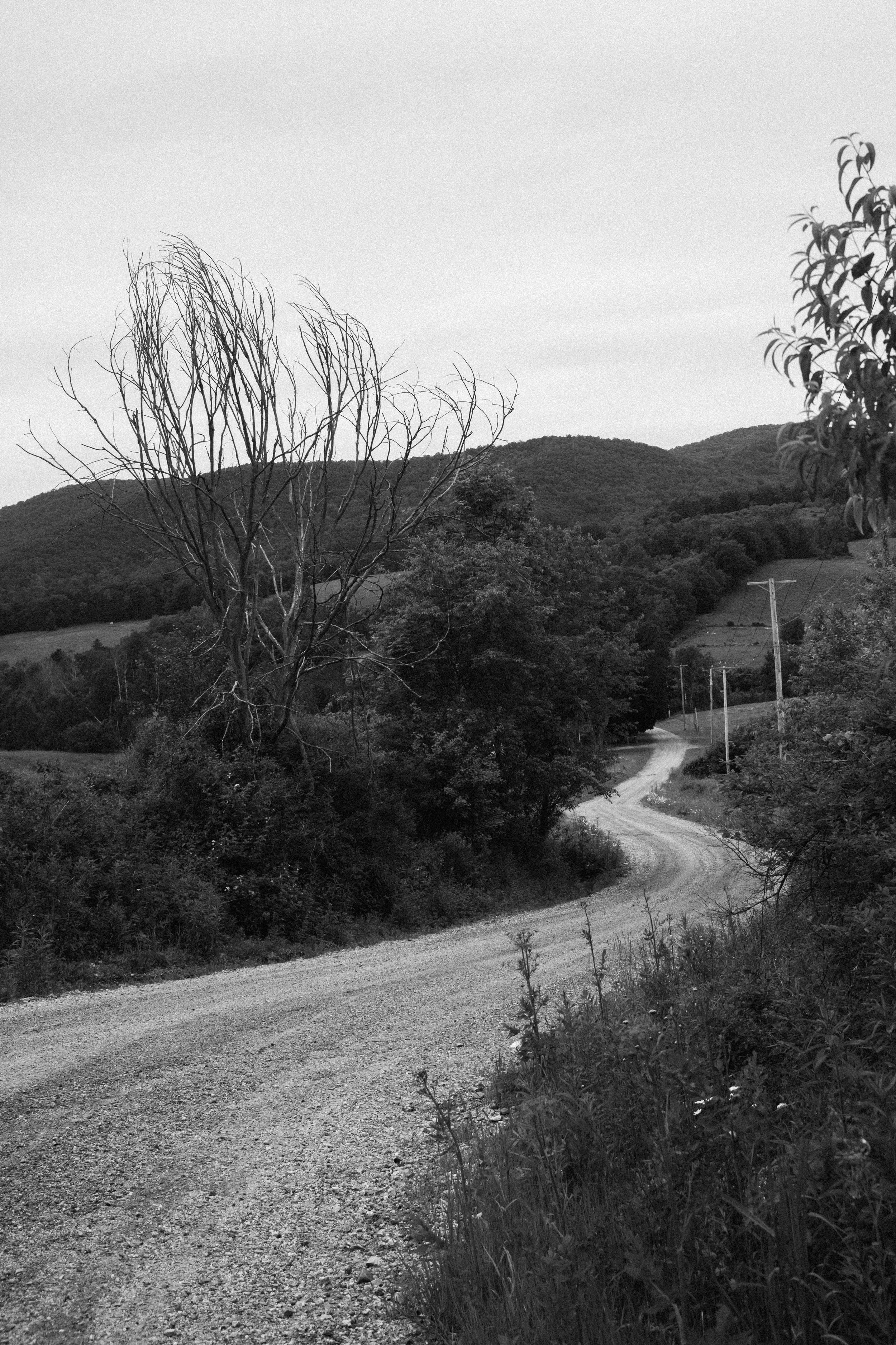Analog4x4_PoultneyVT_PeteCurialle_2636-3.jpg
