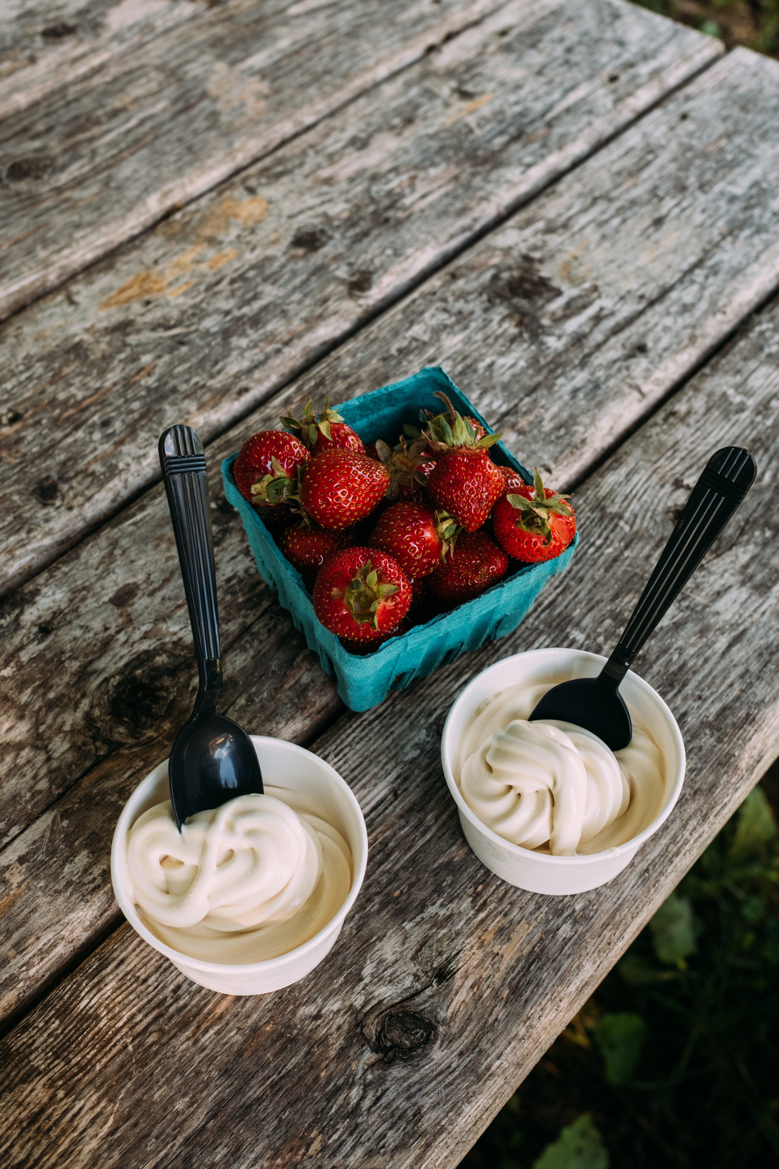 DuttonBerryFarm_ManchesterVT_PeteCurialle_8595.jpg