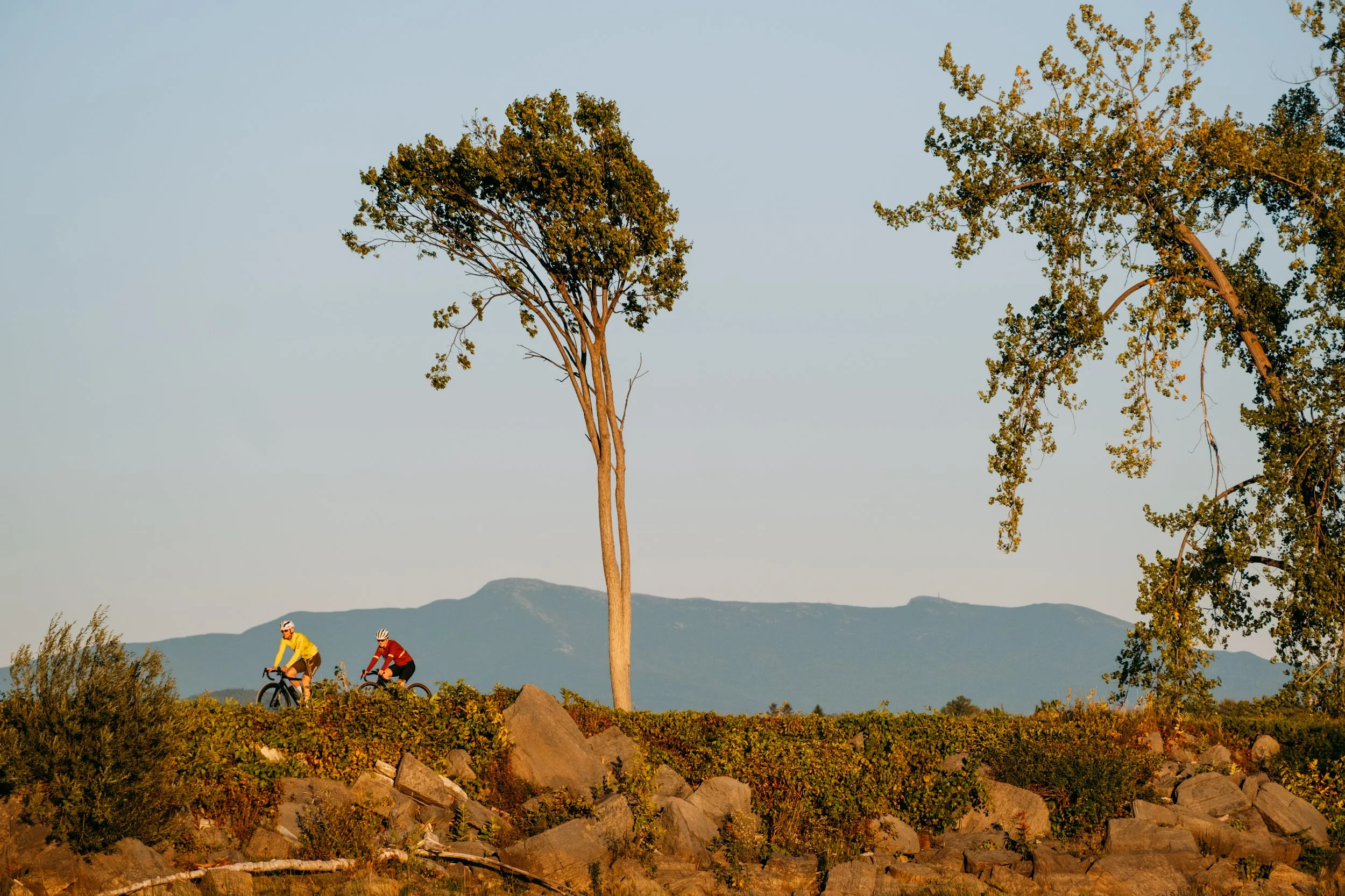 Causeway_ColchesterVT_PeteCurialle_3150.jpg