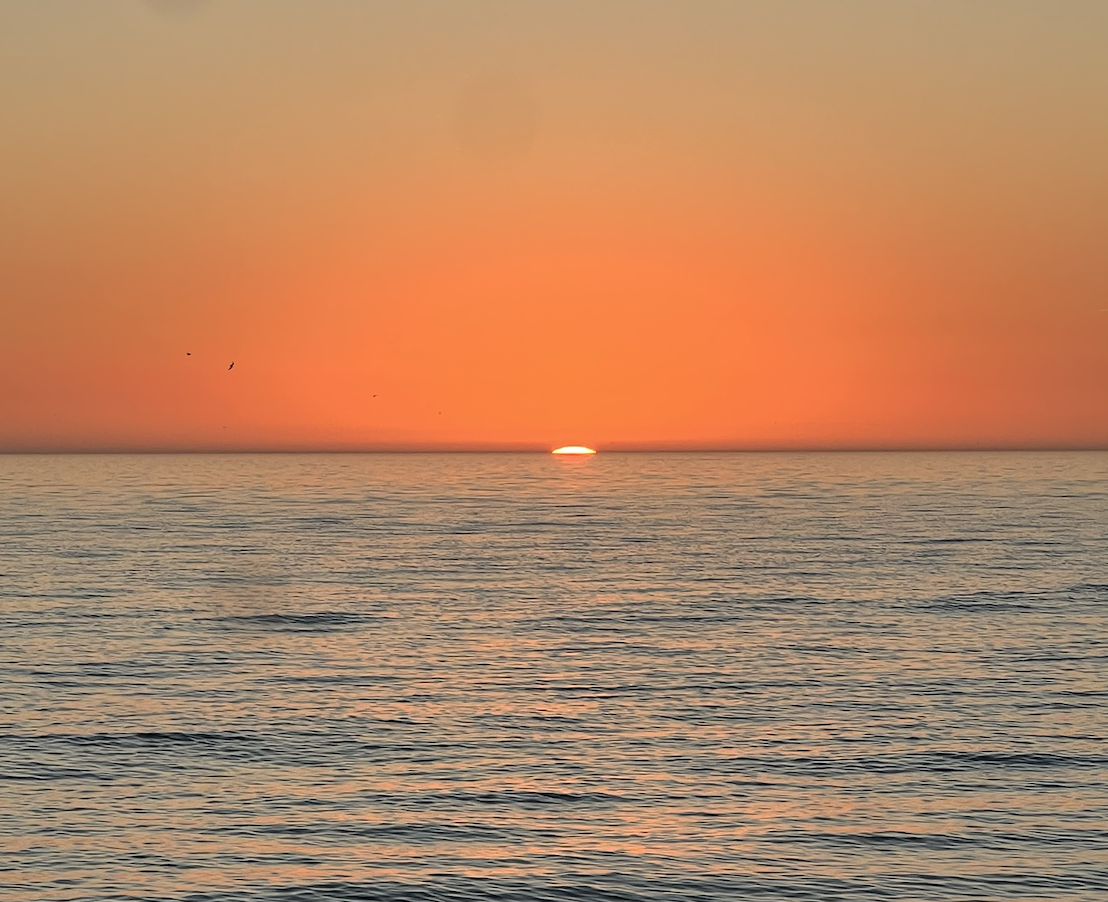 Women’s Retreat: Just Bee in Siesta Key!