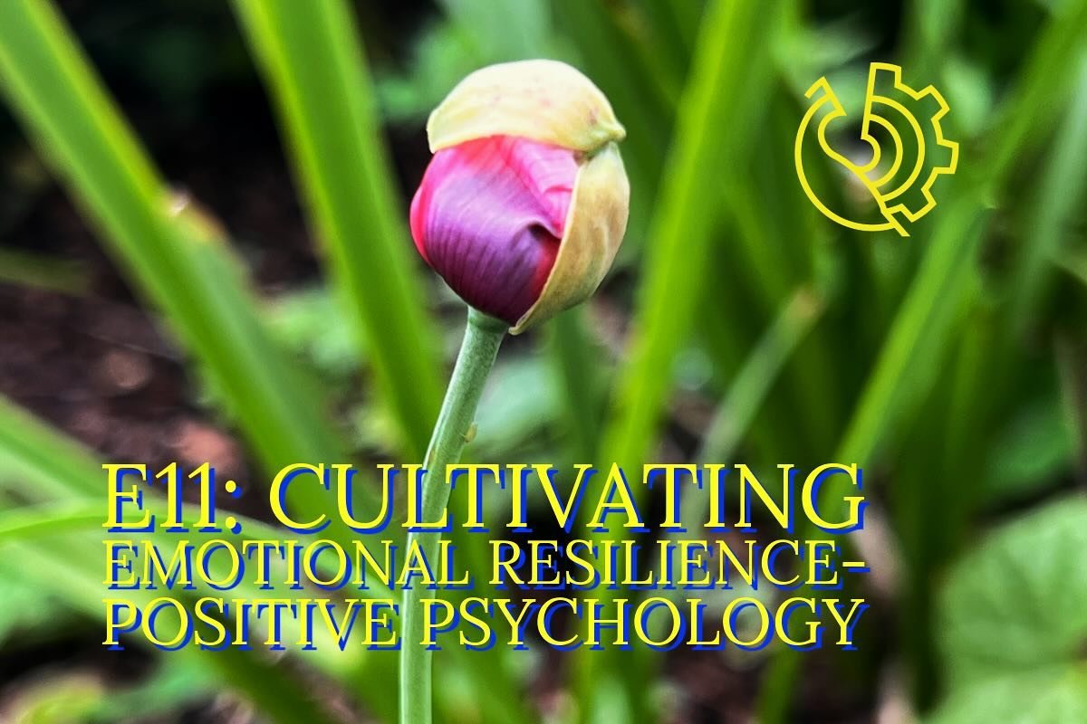 🌈 In this weeks episode for subscribers I explain what positive psychology is, walk us through a free tool to help test and give insight about where we are and tools to build a sense of happiness and fulfillment thereby grounding us to weather bette