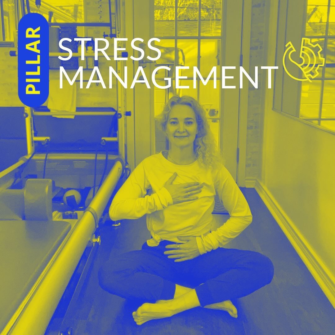 😩 Stress sneaks up on us in several ways, here&rsquo;s some places to tweak for self care and regulation.

@boutiquebodyworks 
Access the Toolbox at: www.boutiquebodyworks.com
YouTube Free at Boutique Bodyworks 
#stressmanagement #nervousystemhealth