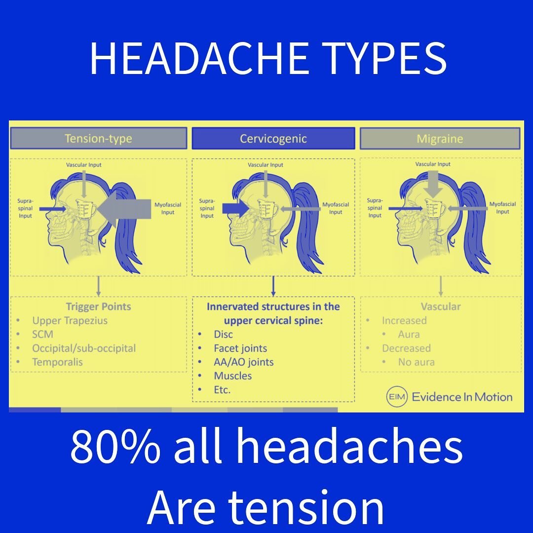 🤕 Headaches are common and can be debilitating. There&rsquo;s are 3 main categories: Tension, Cervicogenic and Migraine. 80% of headaches are tension type and are very treatable with Physical Therapy and Dry Needling is an extremely effective modali