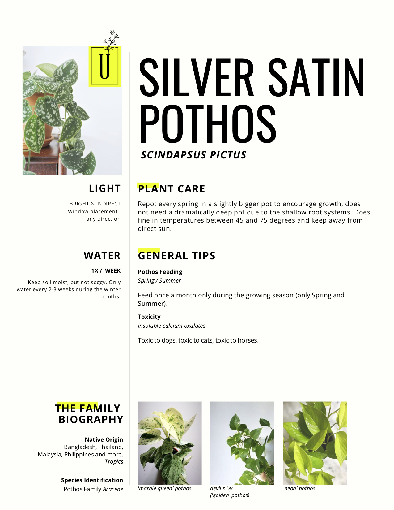 silver satin.jpg