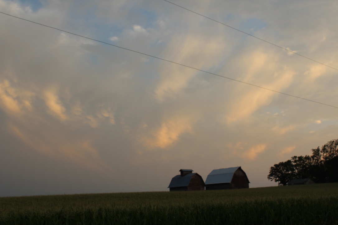 thumb_IMG_6400_1024.jpg