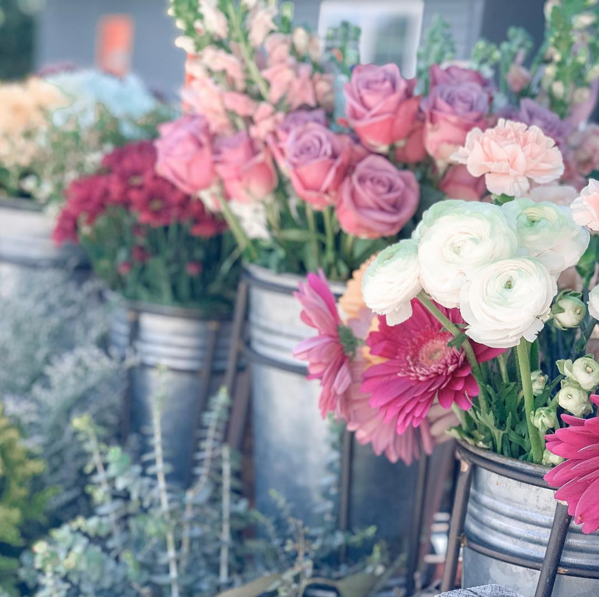 Belle's Flower Truck.png