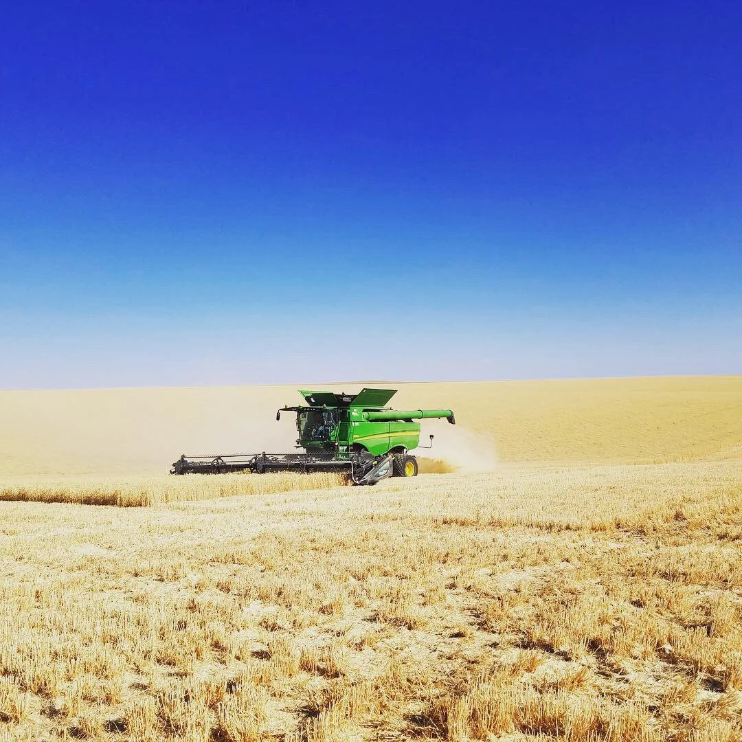 Harvest this year with our new-to-us John Deere s680 with a 40 foot header.