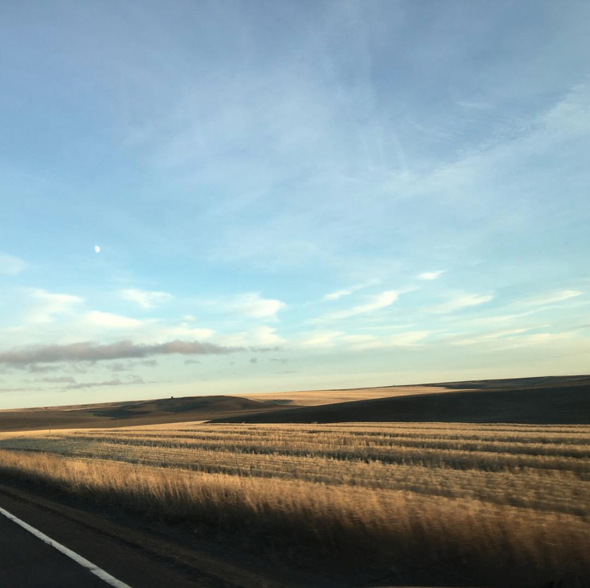 TO HARRINGTON, WASHINGTON — Rural Revival