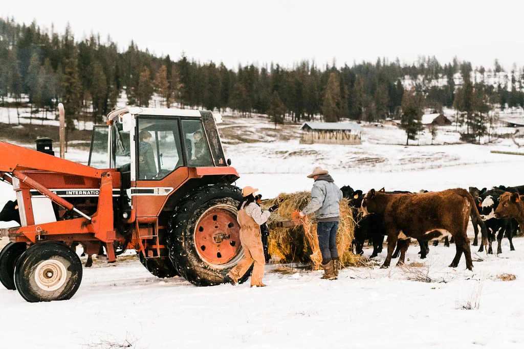 AX Bar Ranch 5.jpg