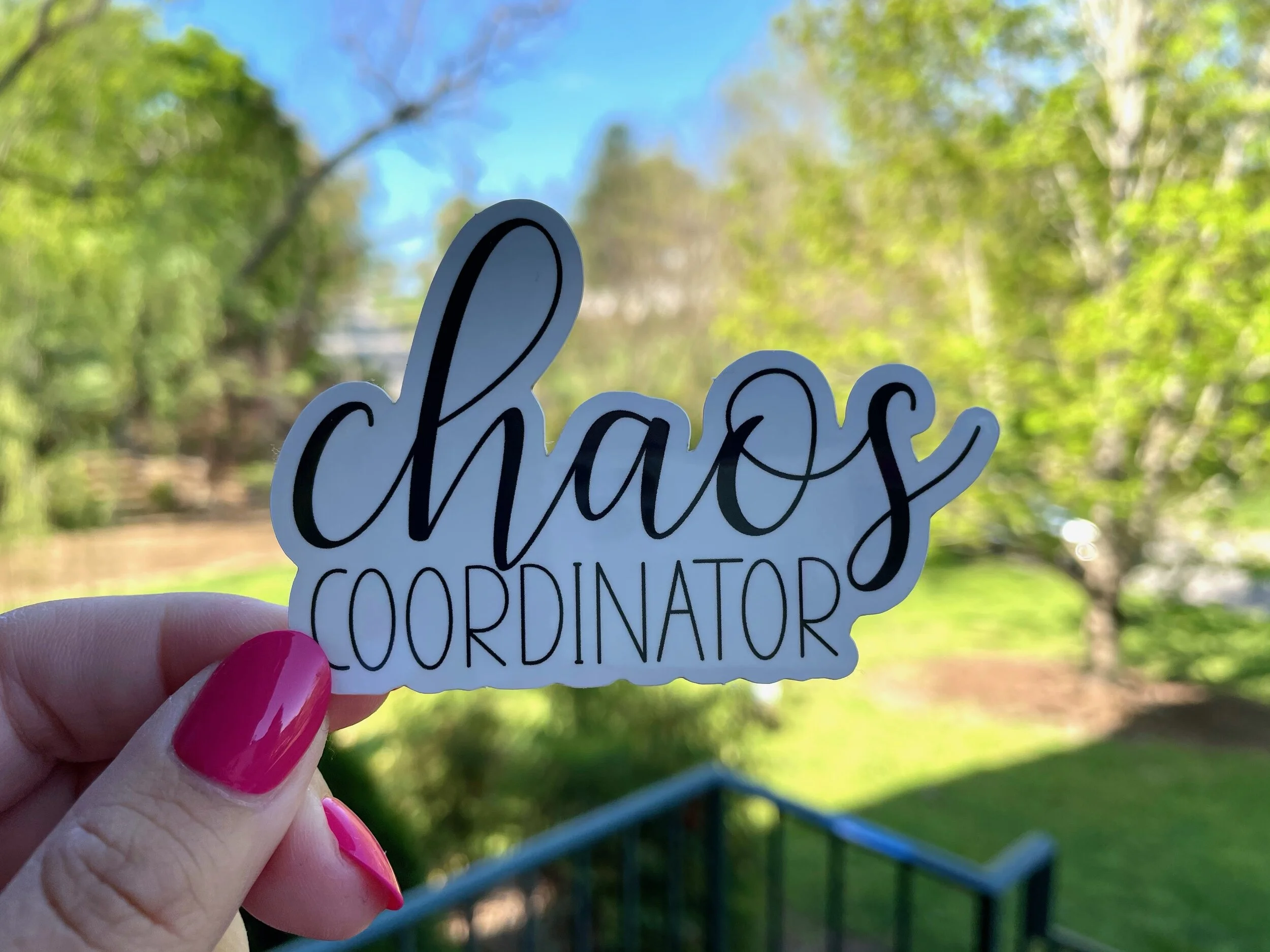 chaos coordinator sticker.jpeg