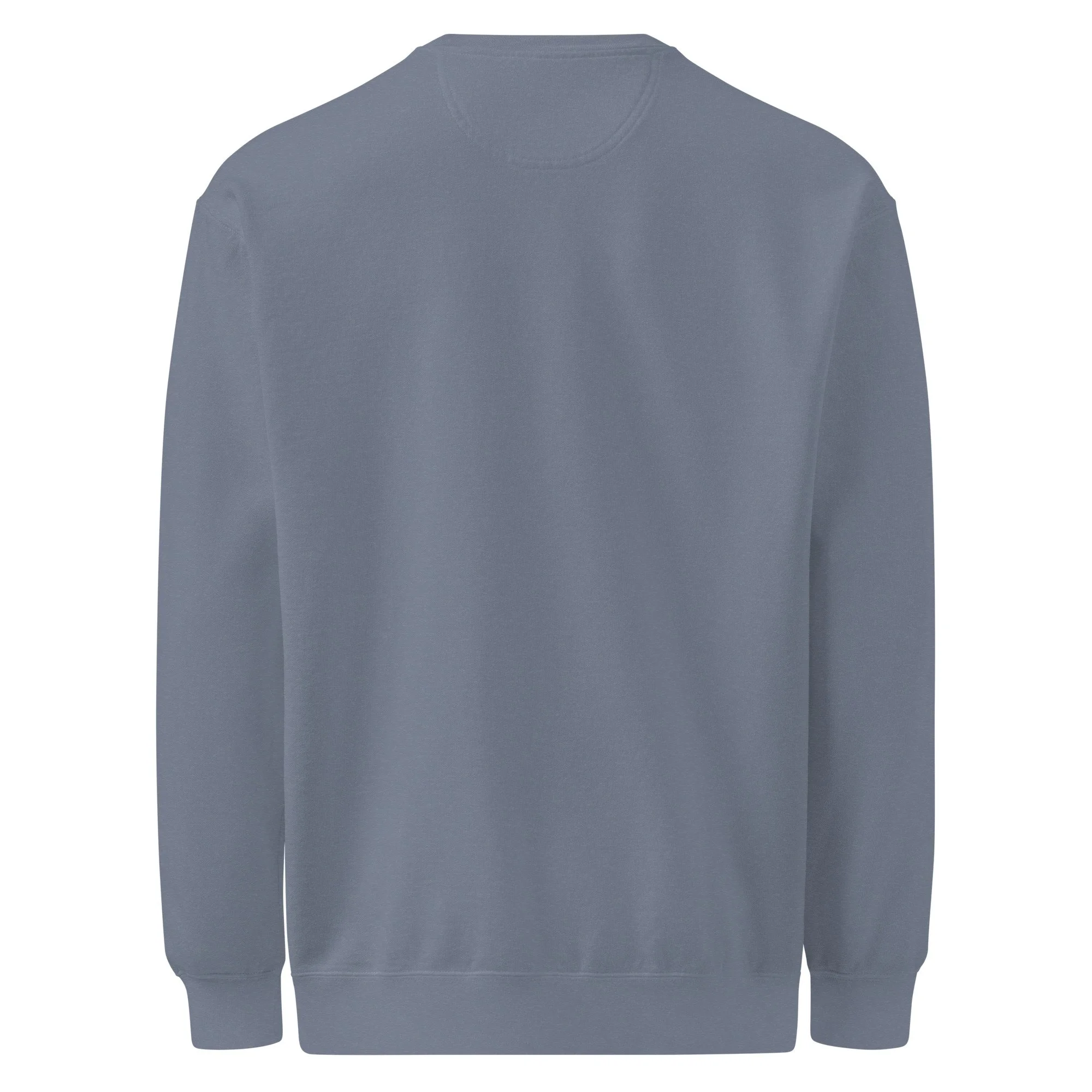 unisex-garment-dyed-sweatshirt-blue-jean-back-6a599942b7968.jpg