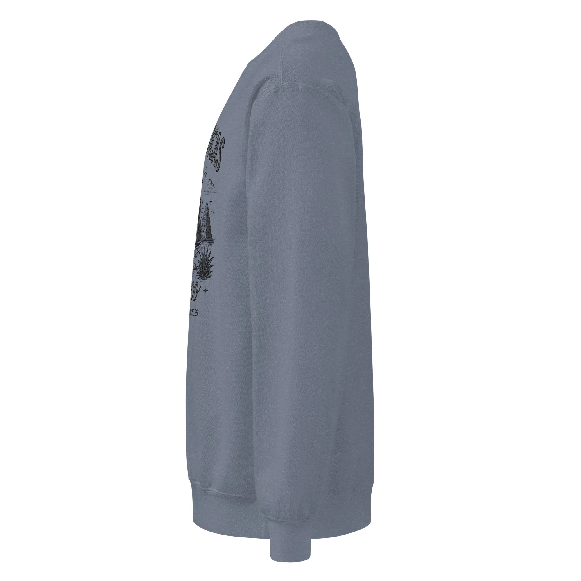 unisex-garment-dyed-sweatshirt-blue-jean-left-6a599942b7b57.jpg