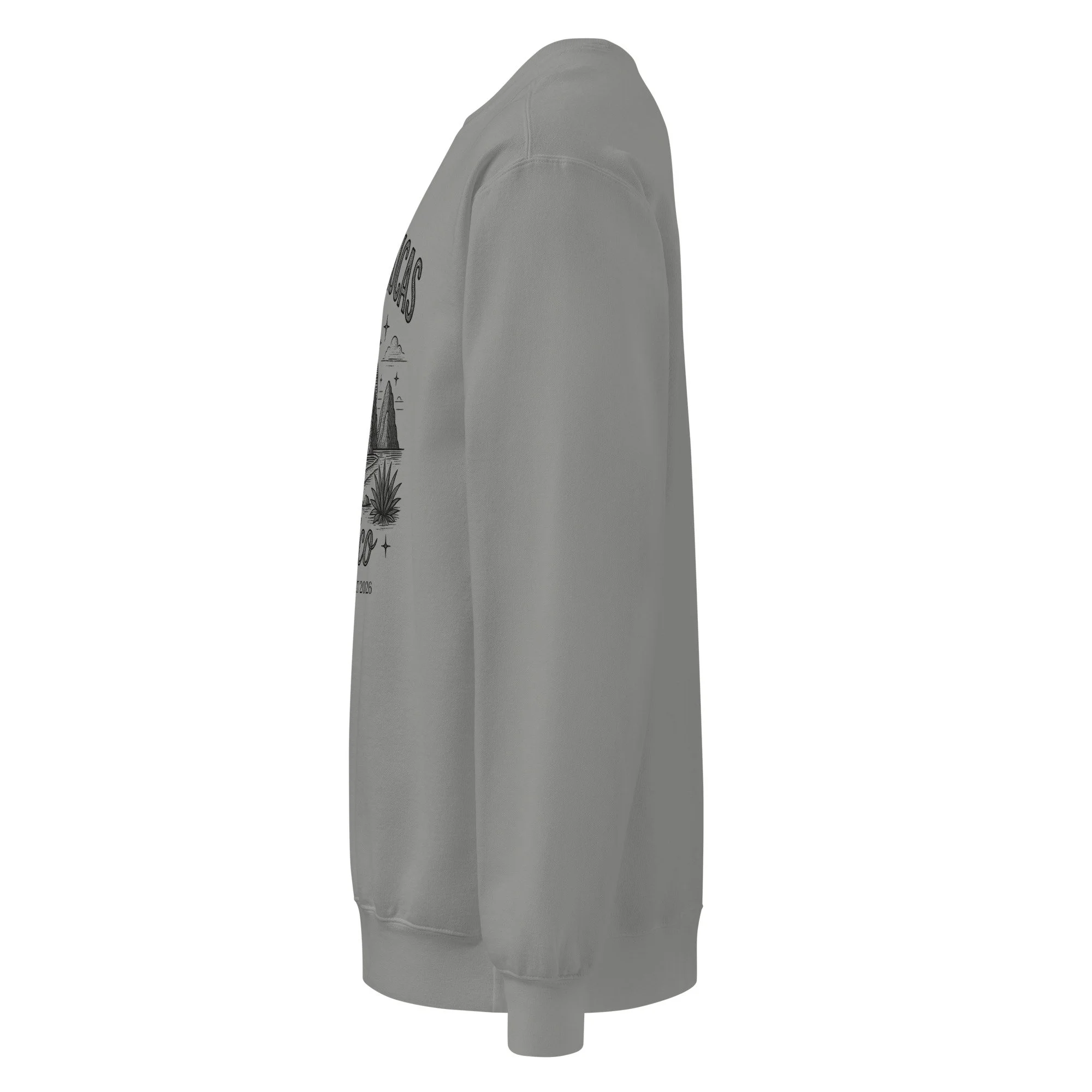 unisex-garment-dyed-sweatshirt-grey-left-6a599942b847a.jpg