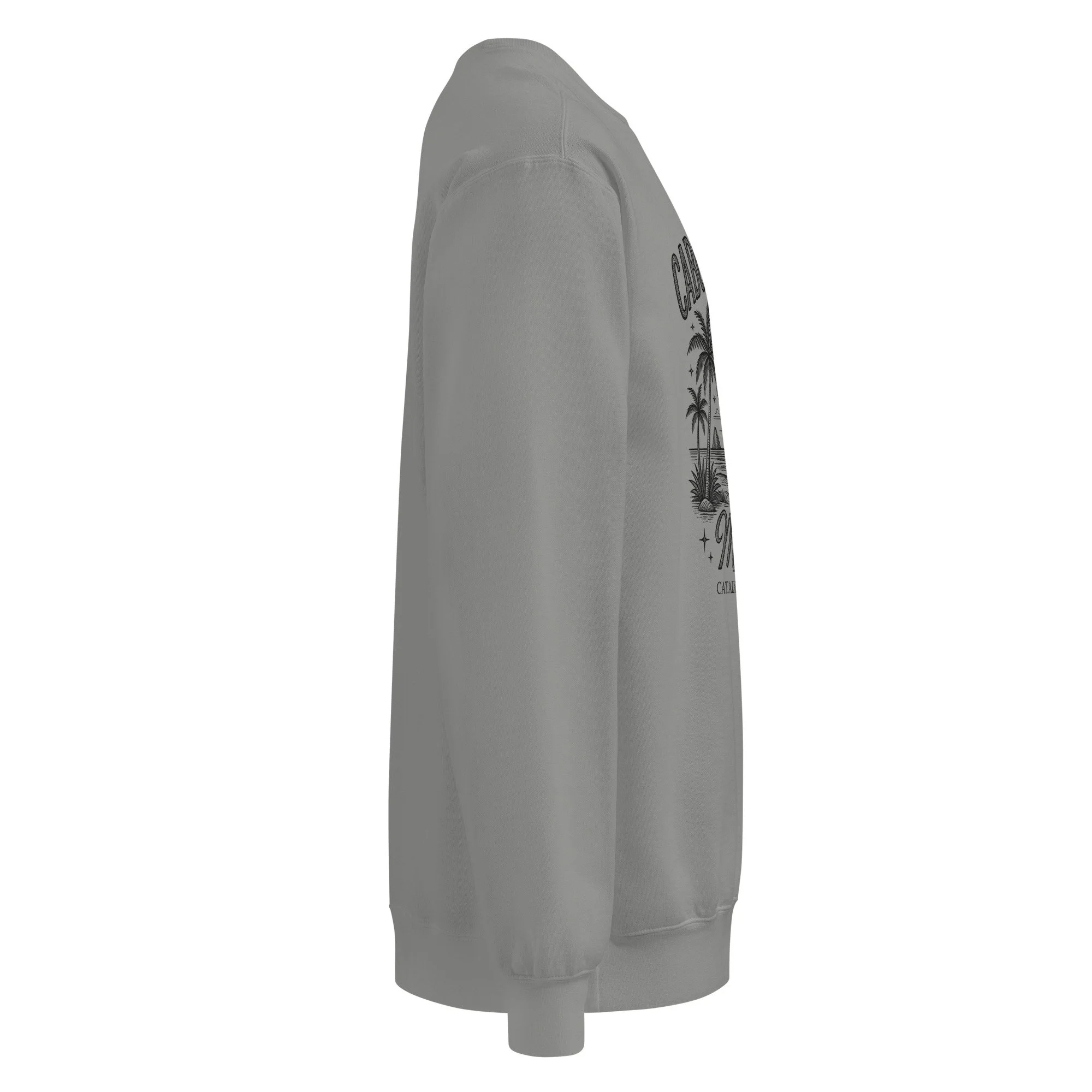 unisex-garment-dyed-sweatshirt-grey-right-6a599942b872c.jpg