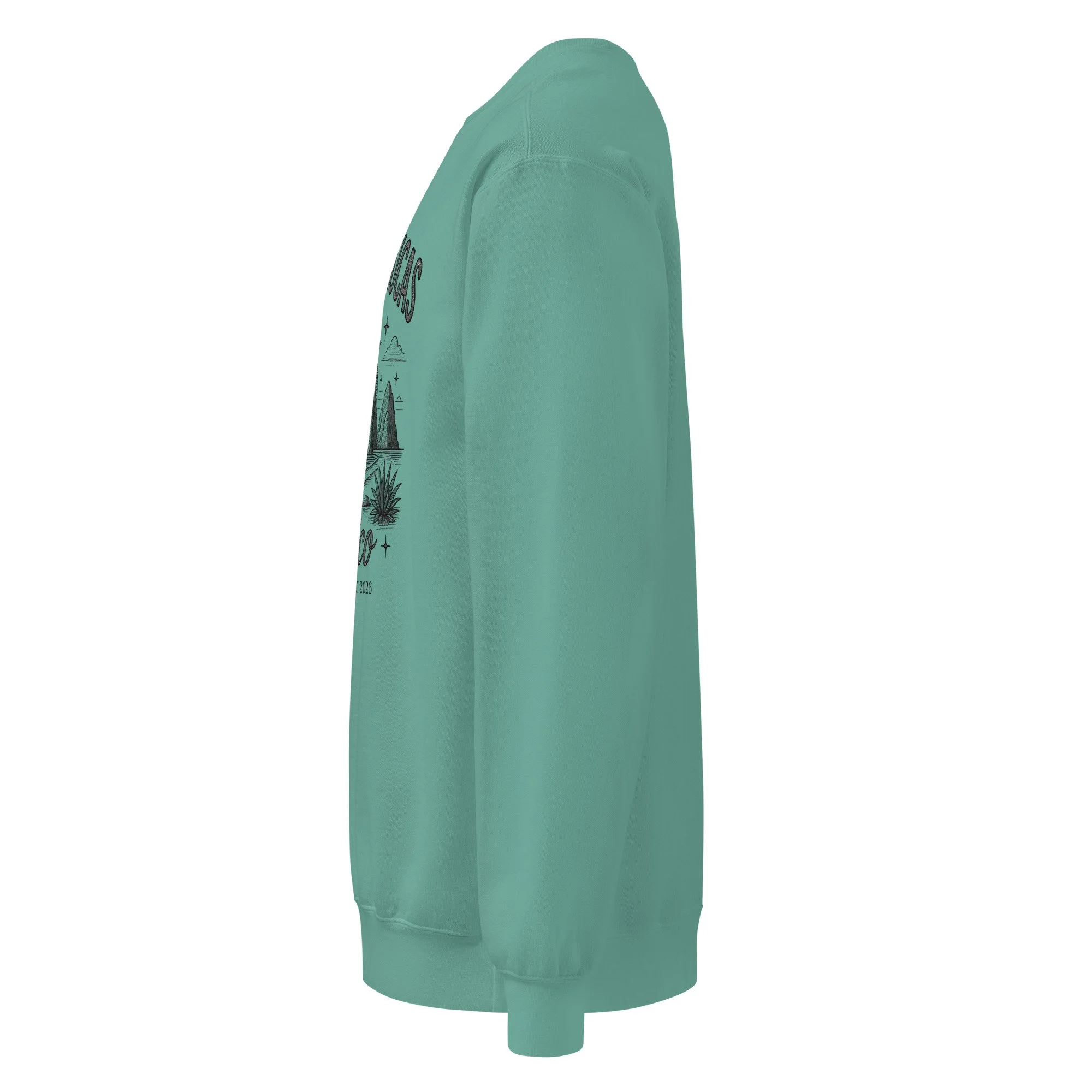 unisex-garment-dyed-sweatshirt-seafoam-left-6a599942b93ba.jpg